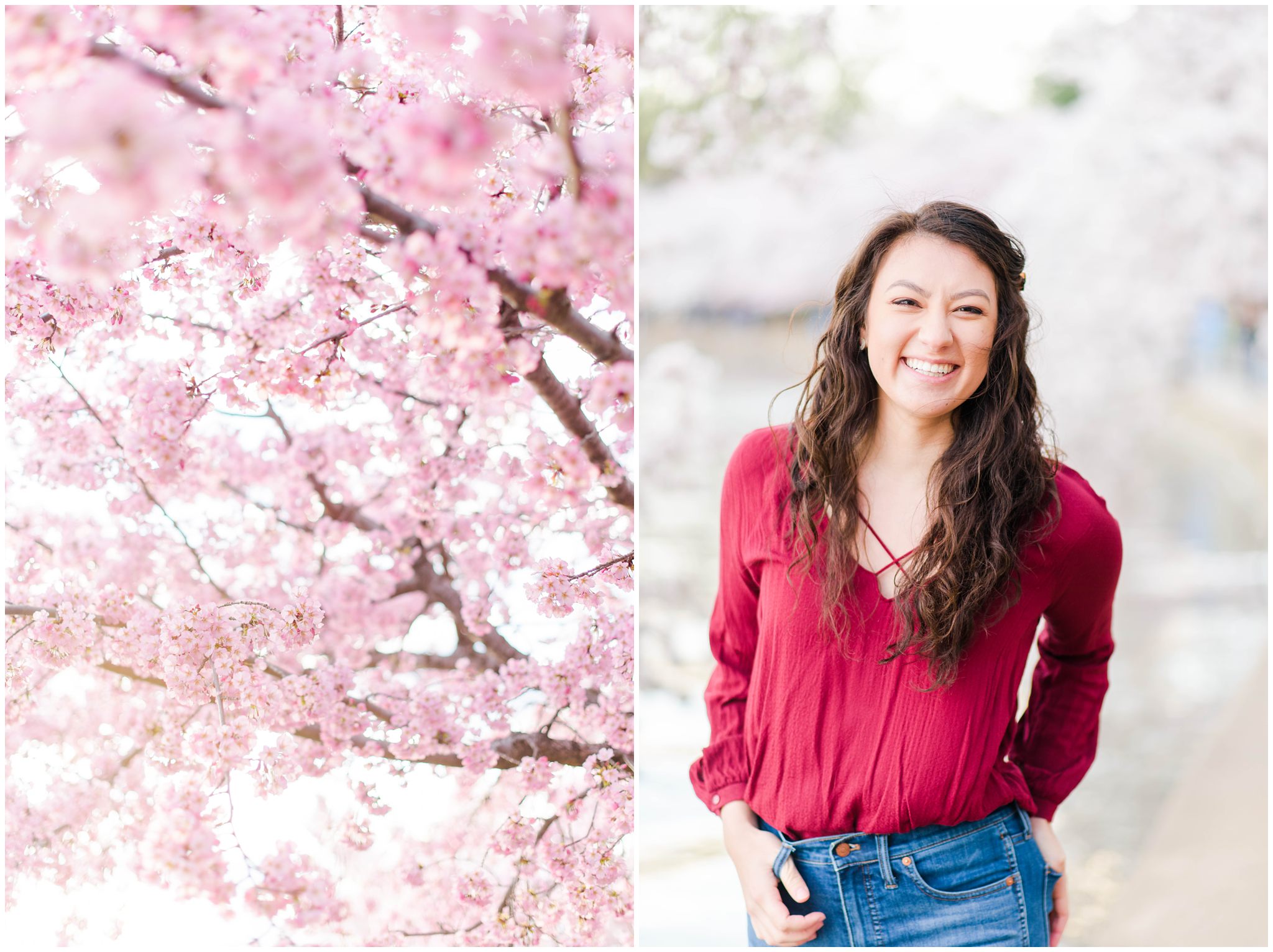 Washington, DC Cherry Blossom Portraits