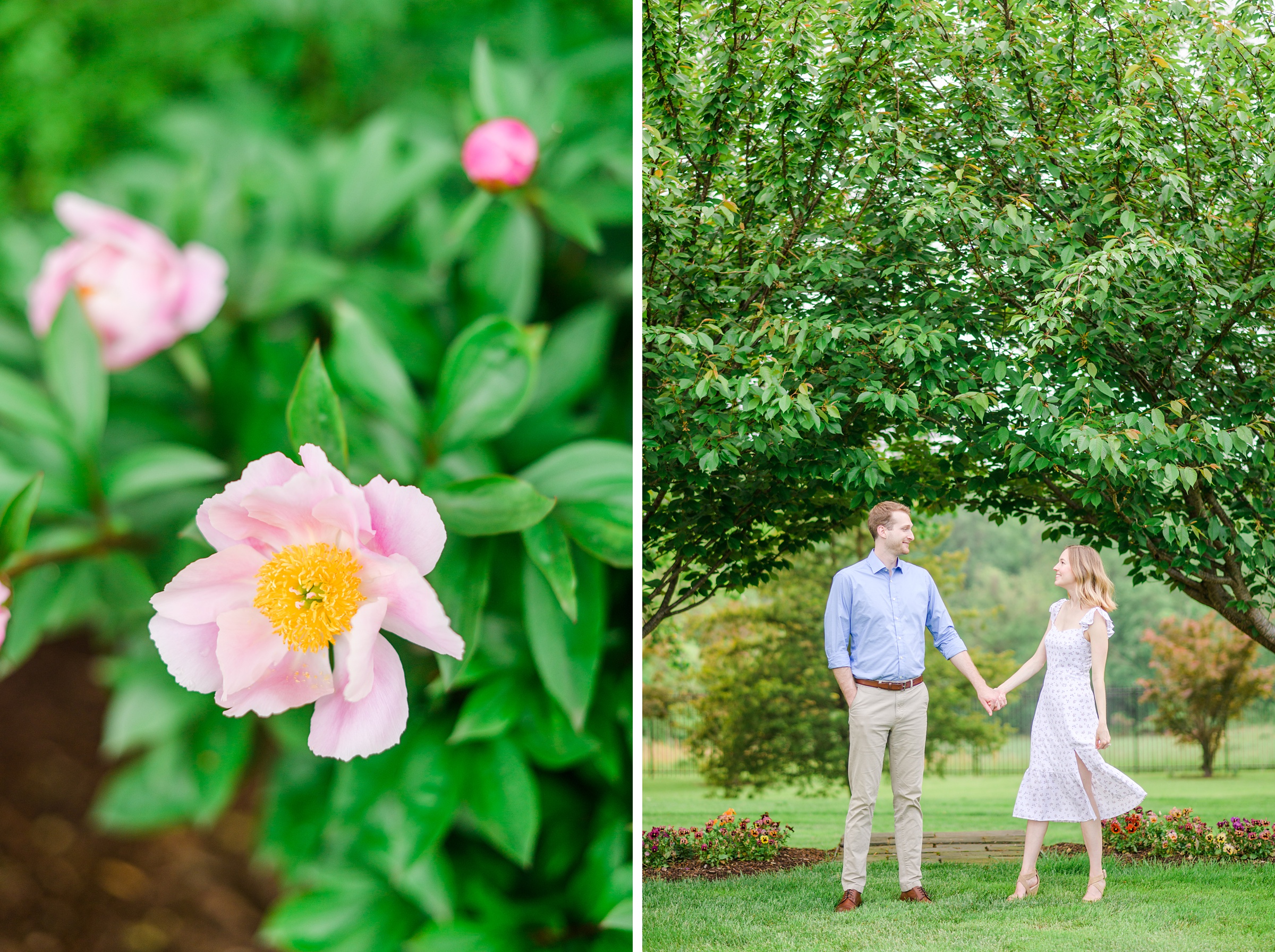 Engaged Couple smiles in the garden at Belmont Manor during a rainy sunset engagement photographed by Baltimore Wedding Photographer Cait Kramer