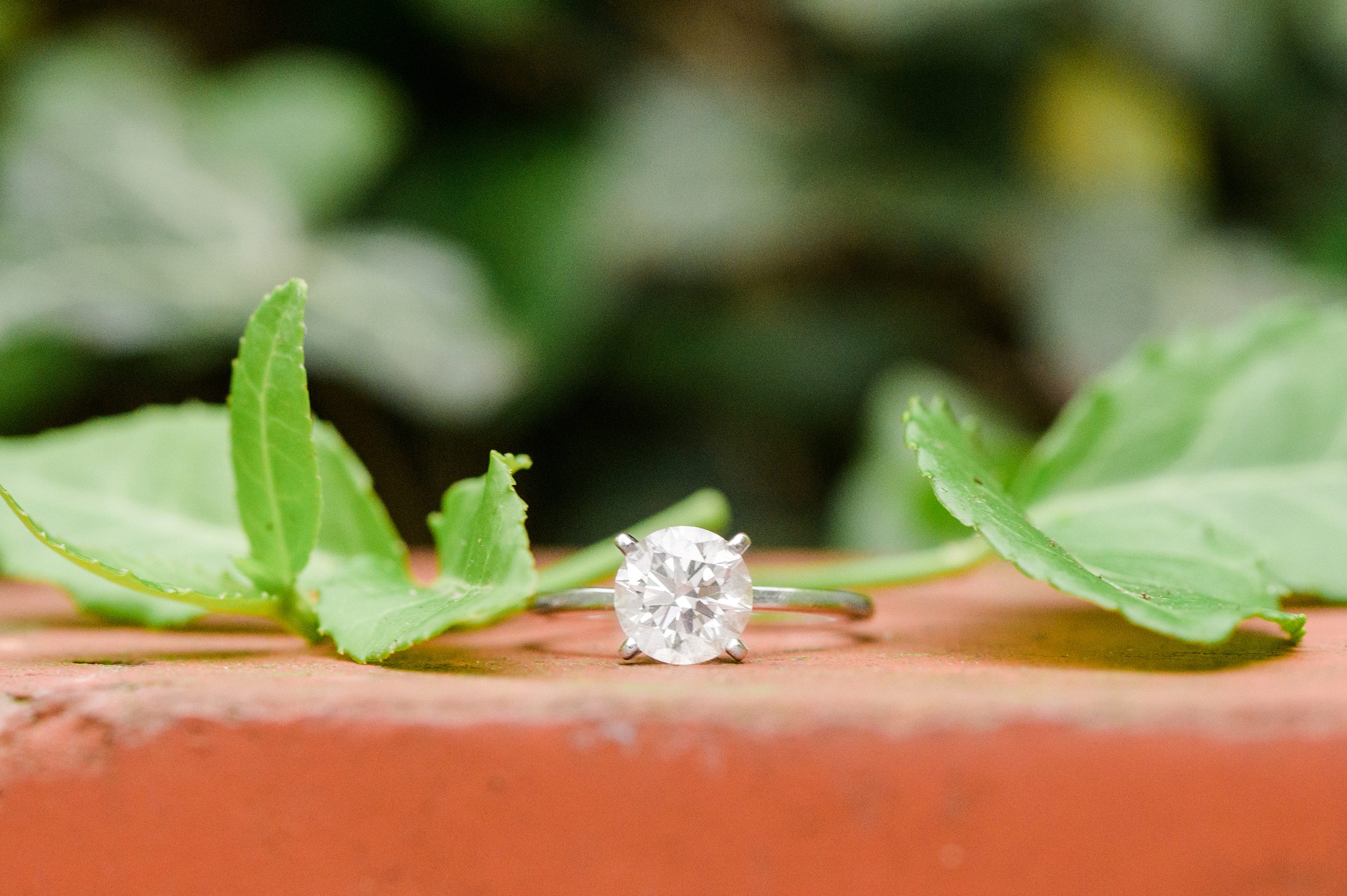 Round Engagement Ring Foggy Bottom during engagement session at the Kennedy Center photographed by Baltimore Wedding Photographer Cait Kramer Photography