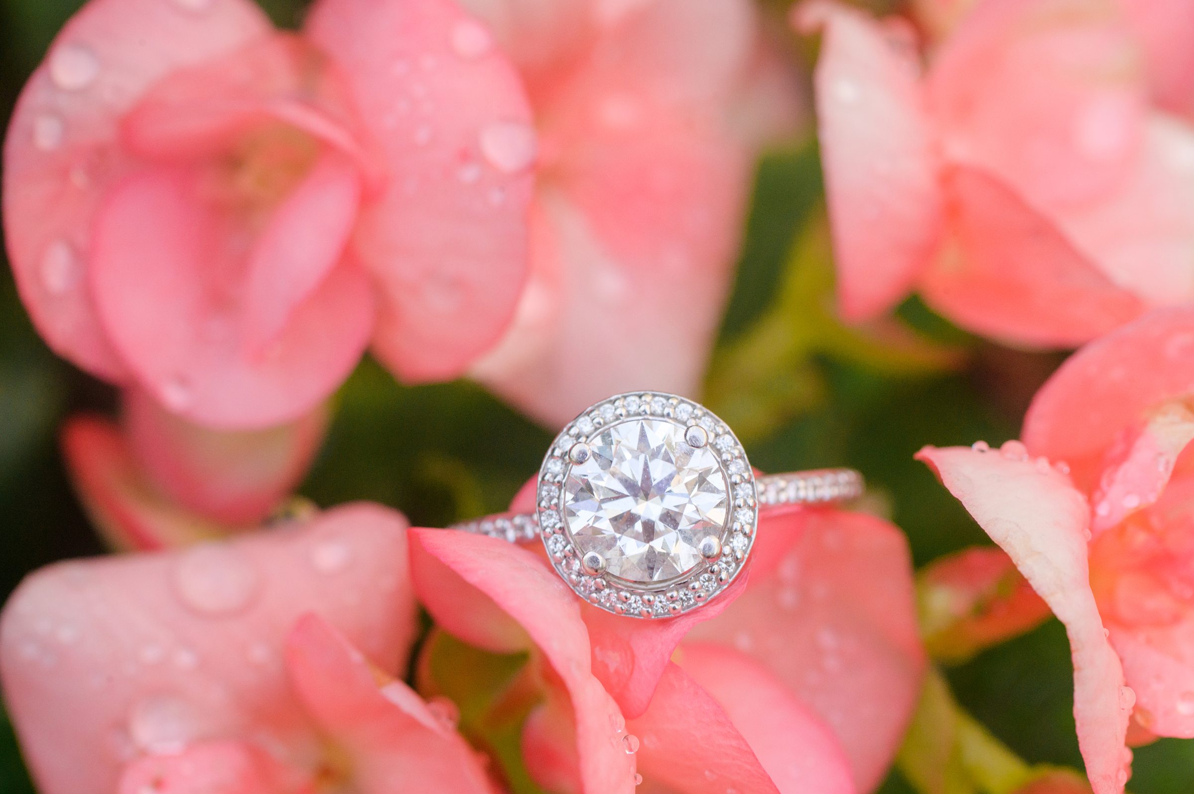 Engaged couple smiles in Georgetown, Washington, DC during engagement session photographed by Baltimore wedding photographer, Cait Kramer Photography