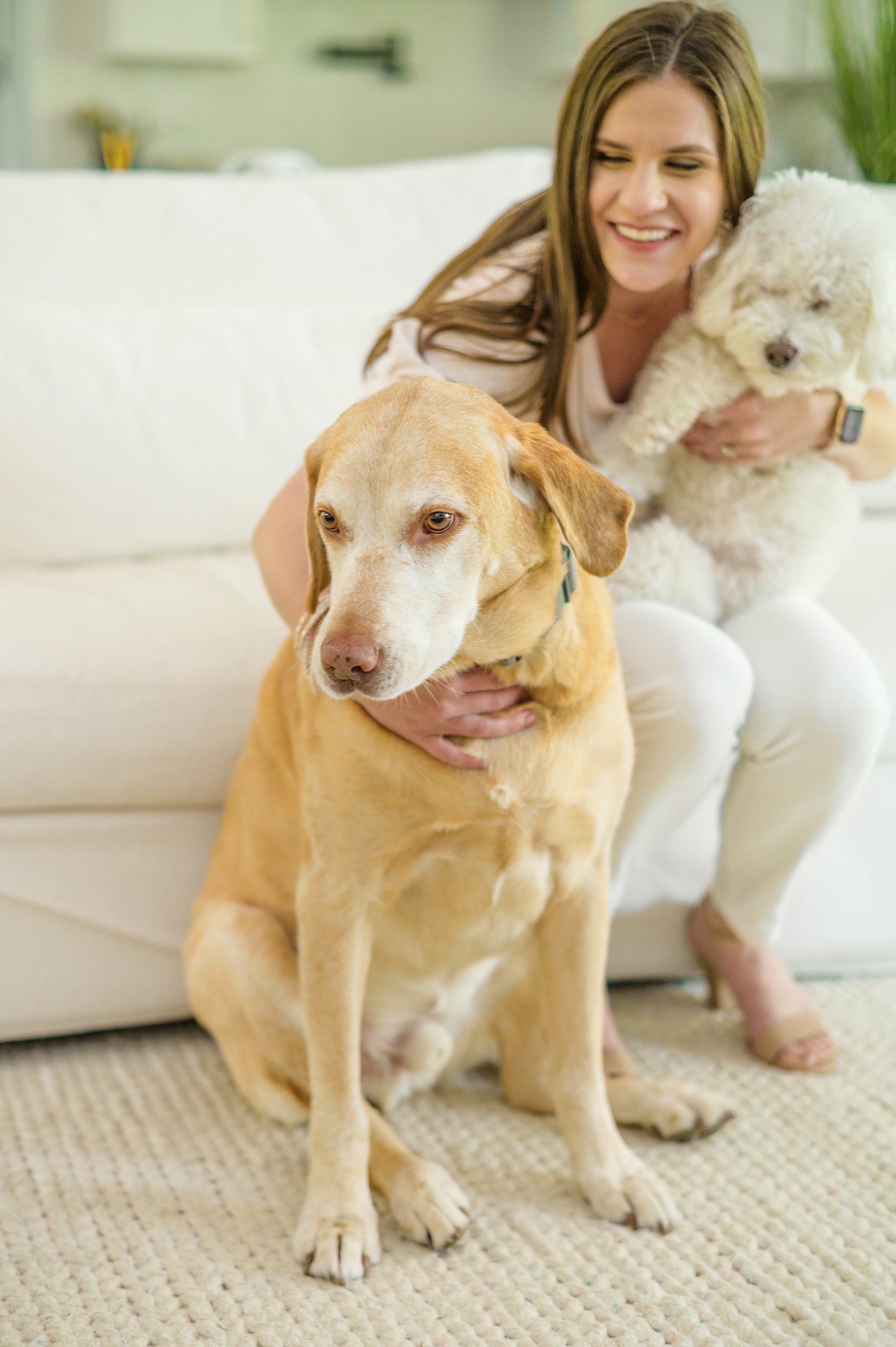 Stacey Caito, Chantilly Realtor, snuggles her dogs during her brand session photographed by Virginia brand photographer, Cait Kramer Photography