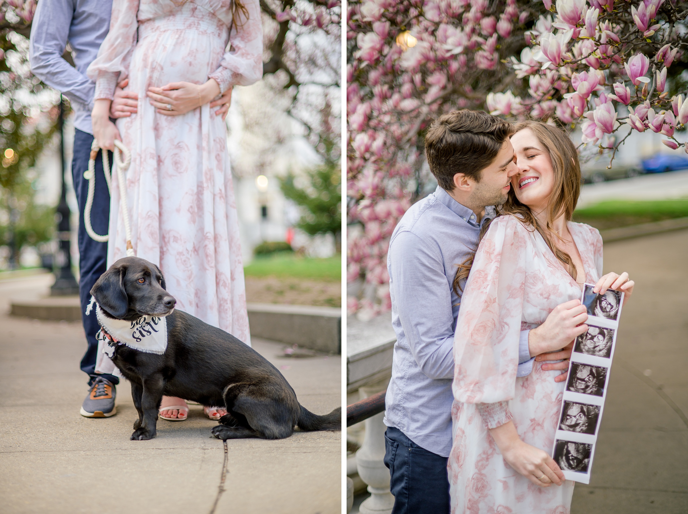 Meg and Sean's maternity photos in Baltimore featuring stunning pink magnolia trees by Baltimore Photographer Cait Kramer Photography