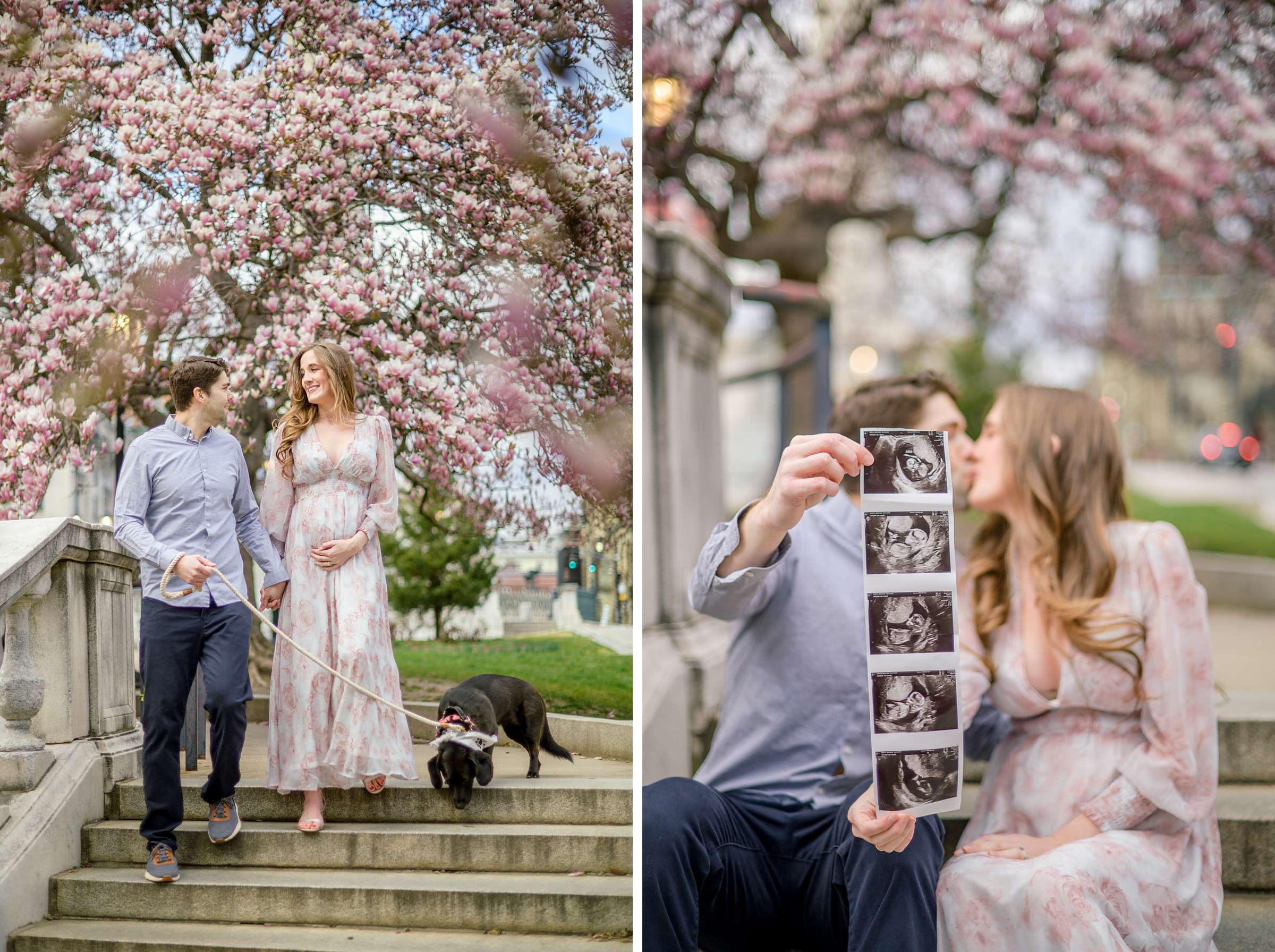 Meg and Sean's maternity photos in Baltimore featuring stunning pink magnolia trees by Baltimore Photographer Cait Kramer Photography