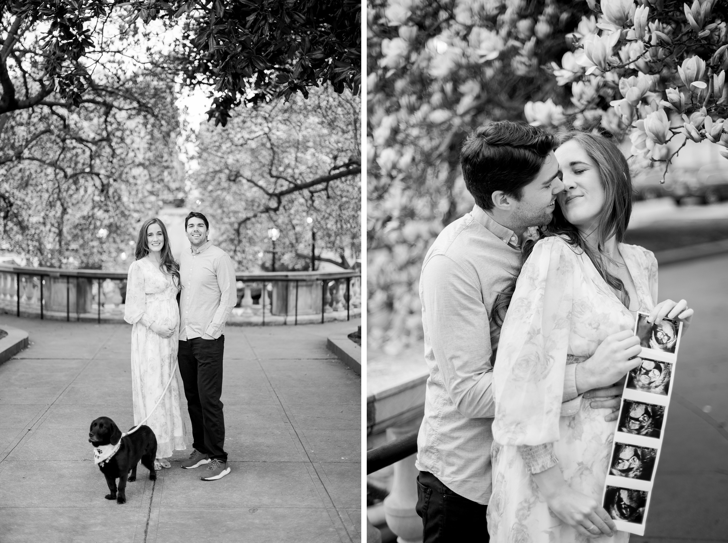 Meg and Sean's maternity photos in Baltimore featuring stunning pink magnolia trees by Baltimore Photographer Cait Kramer Photography