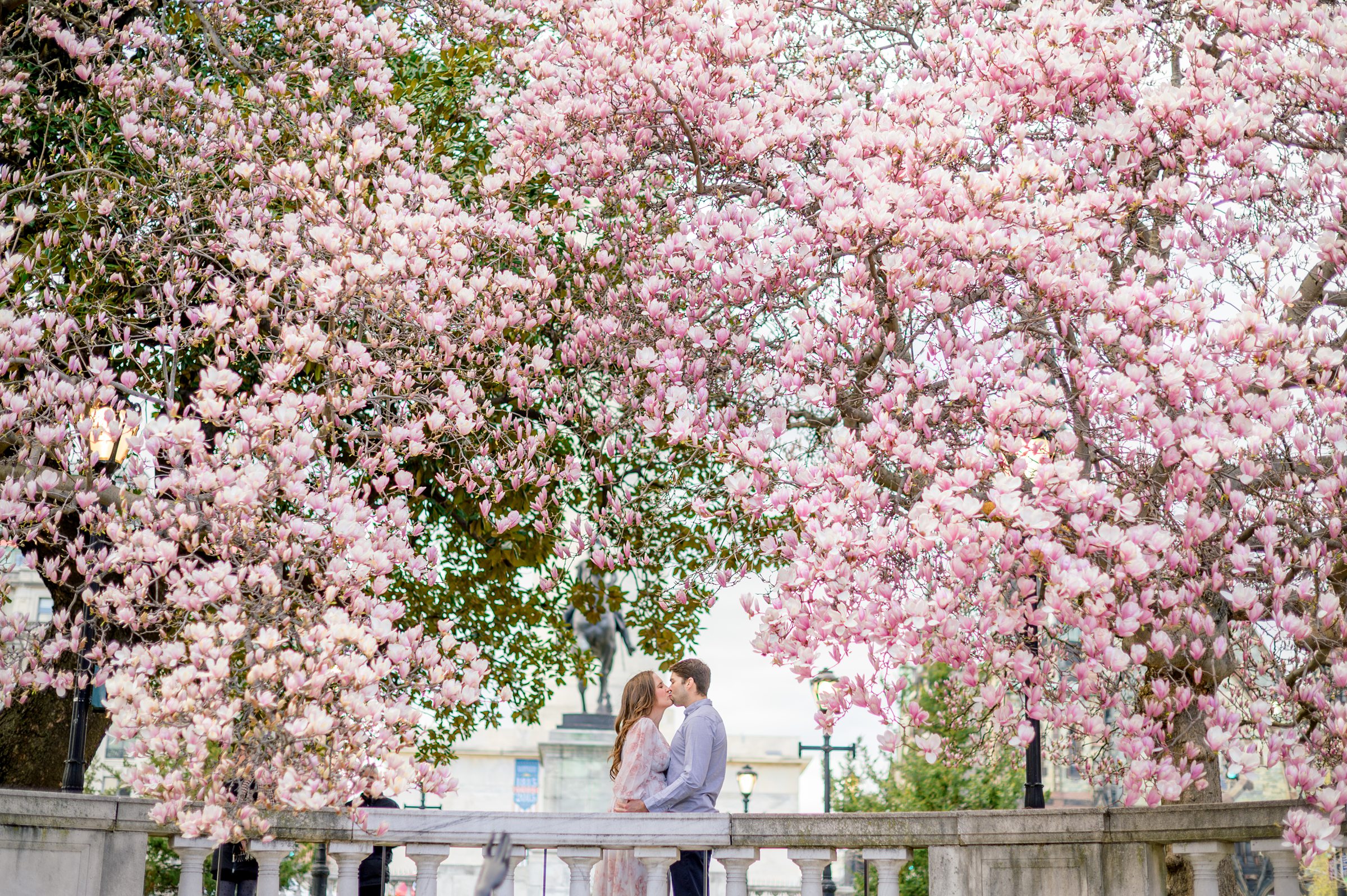 Meg and Sean's maternity photos in Baltimore featuring stunning pink magnolia trees by Baltimore Photographer Cait Kramer Photography