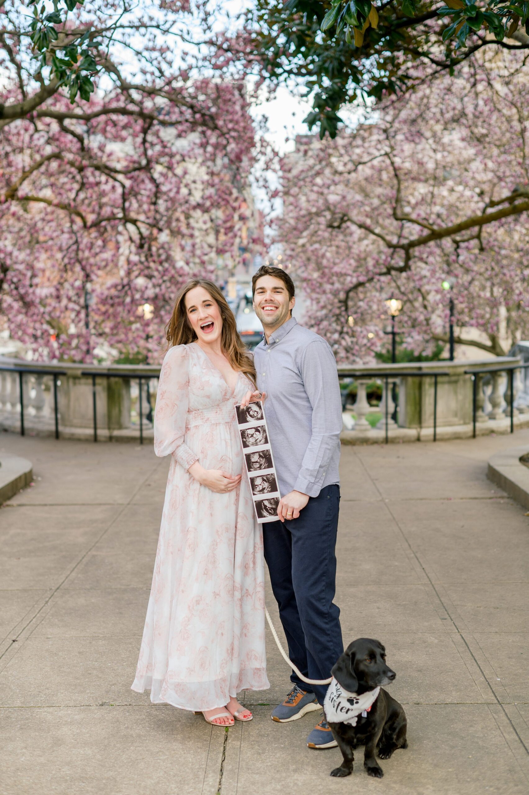 Meg and Sean's maternity photos in Baltimore featuring stunning pink magnolia trees by Baltimore Photographer Cait Kramer Photography