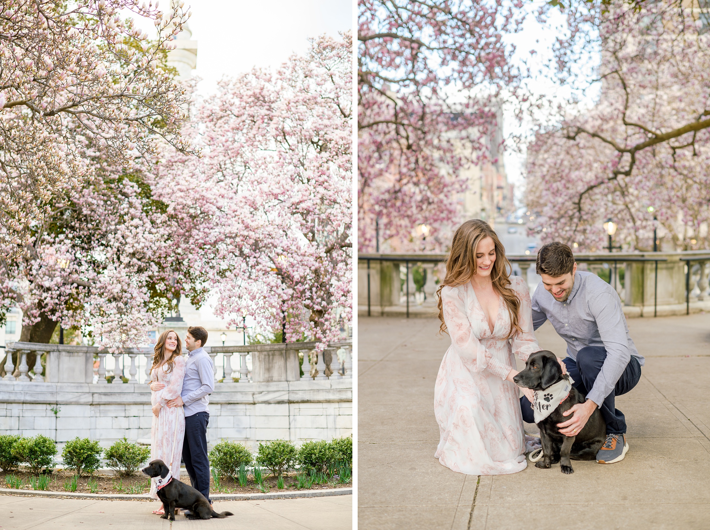 Meg and Sean's maternity photos in Baltimore featuring stunning pink magnolia trees by Baltimore Photographer Cait Kramer Photography