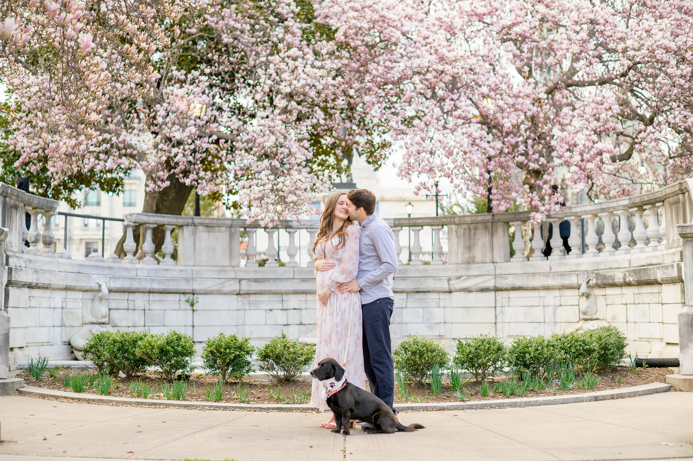 Meg and Sean's maternity photos in Baltimore featuring stunning pink magnolia trees by Baltimore Photographer Cait Kramer Photography