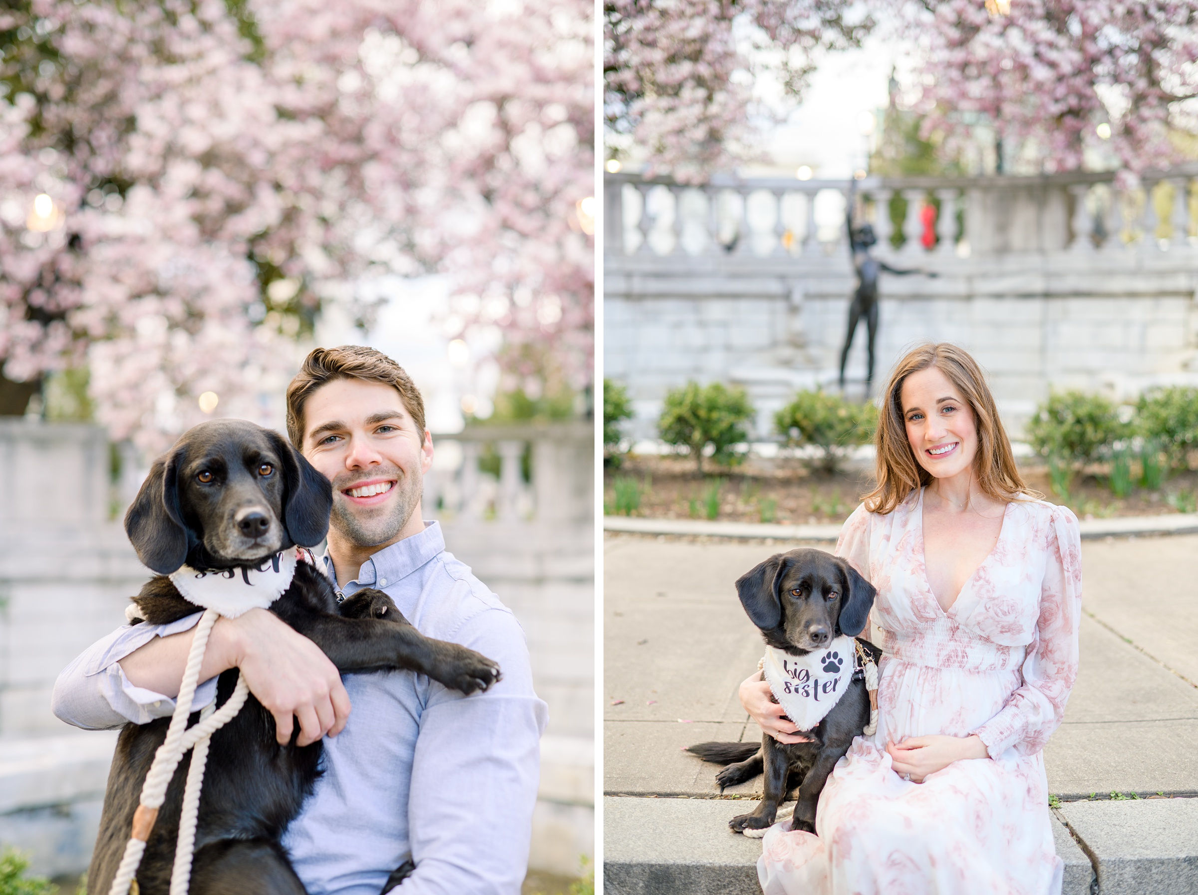 Meg and Sean's maternity photos in Baltimore featuring stunning pink magnolia trees by Baltimore Photographer Cait Kramer Photography