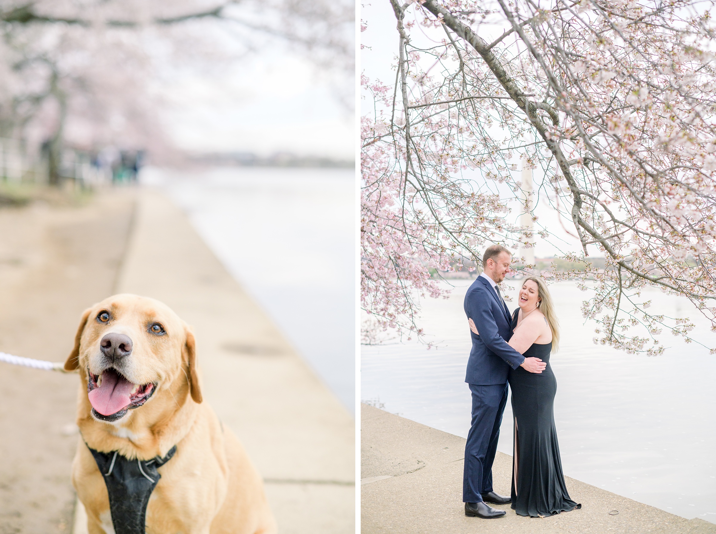 Cherry Blossom portrait session at the Jefferson Memorial in Washington DC photographed by Baltimore Wedding Photographer Cait Kramer Photography