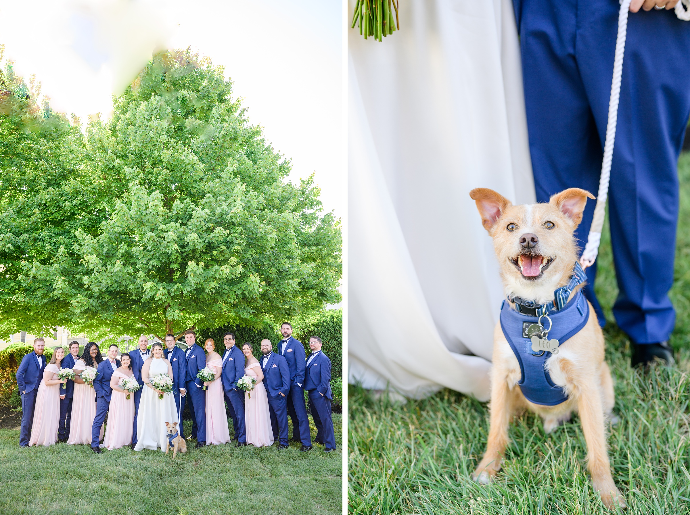 Blush and White Spring Wedding Day at Birkby House in Leesburg, Virginia Photographed by Baltimore Wedding Photographer Cait Kramer Photography