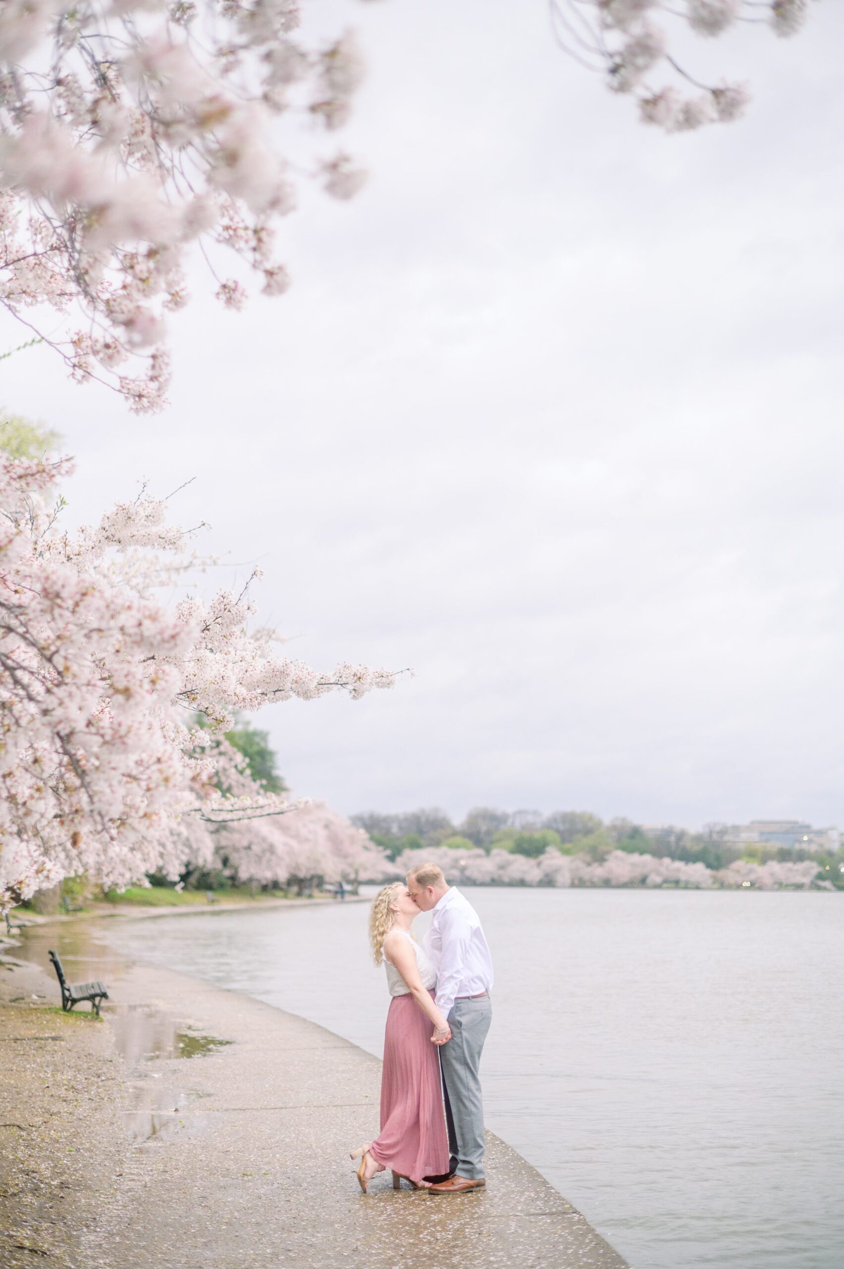 Anniversary portrait session at the Jefferson Memorial featuring the Washington DC Cherry Blossoms. Photographed by Baltimore Photographer Cait Kramer Photography