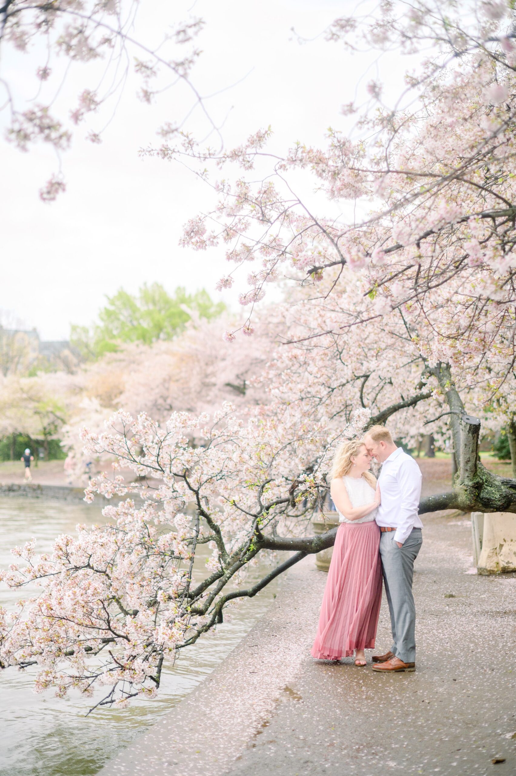 Anniversary portrait session at the Jefferson Memorial featuring the Washington DC Cherry Blossoms. Photographed by Baltimore Photographer Cait Kramer Photography