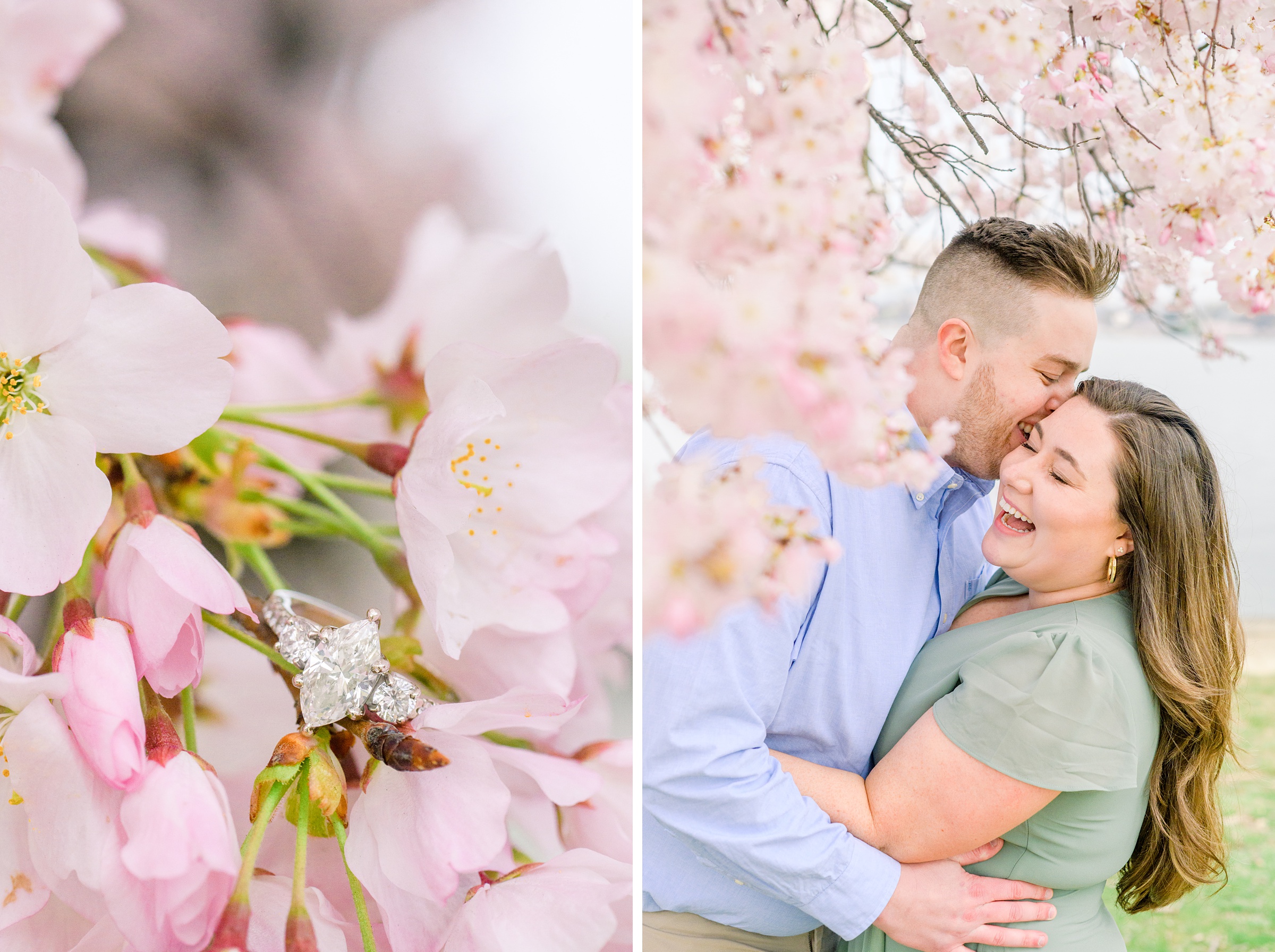 DC Cherry Blossom Mini Portrait Sessions Photographed by Baltimore Portrait Photographer Cait Kramer Photography