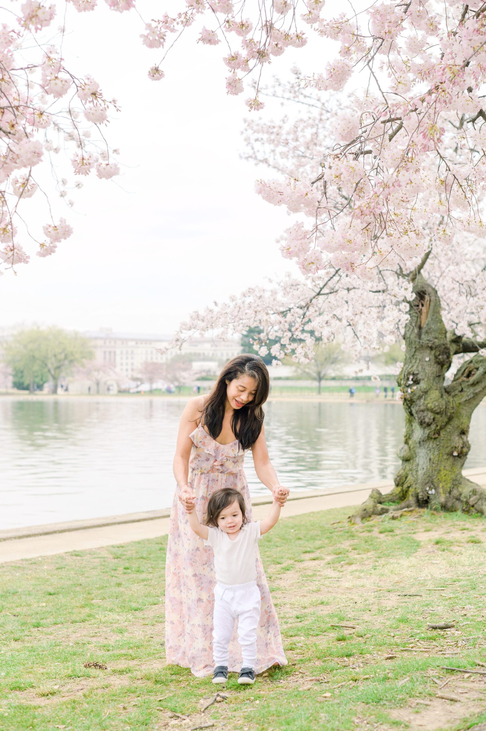 DC Cherry Blossom Mini Portrait Sessions Photographed by Baltimore Portrait Photographer Cait Kramer Photography