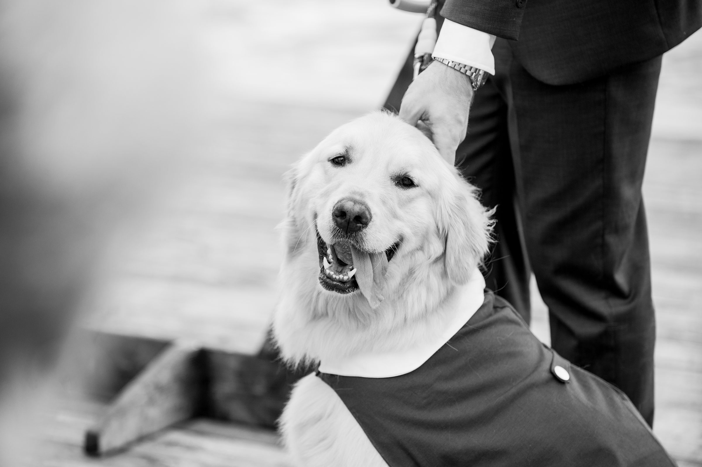 Sage Green and Navy Blue summer wedding at the Frederick Douglass Maritime Museum in Baltimore, Maryland. Photographed by Baltimore Wedding Photographer Cait Kramer Photography