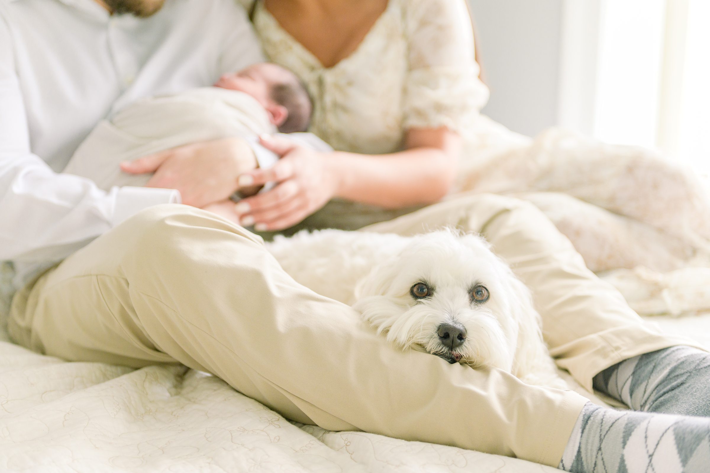 Baltimore lifestyle newborn session photographed by Baltimore Newborn Photographer Cait Kramer