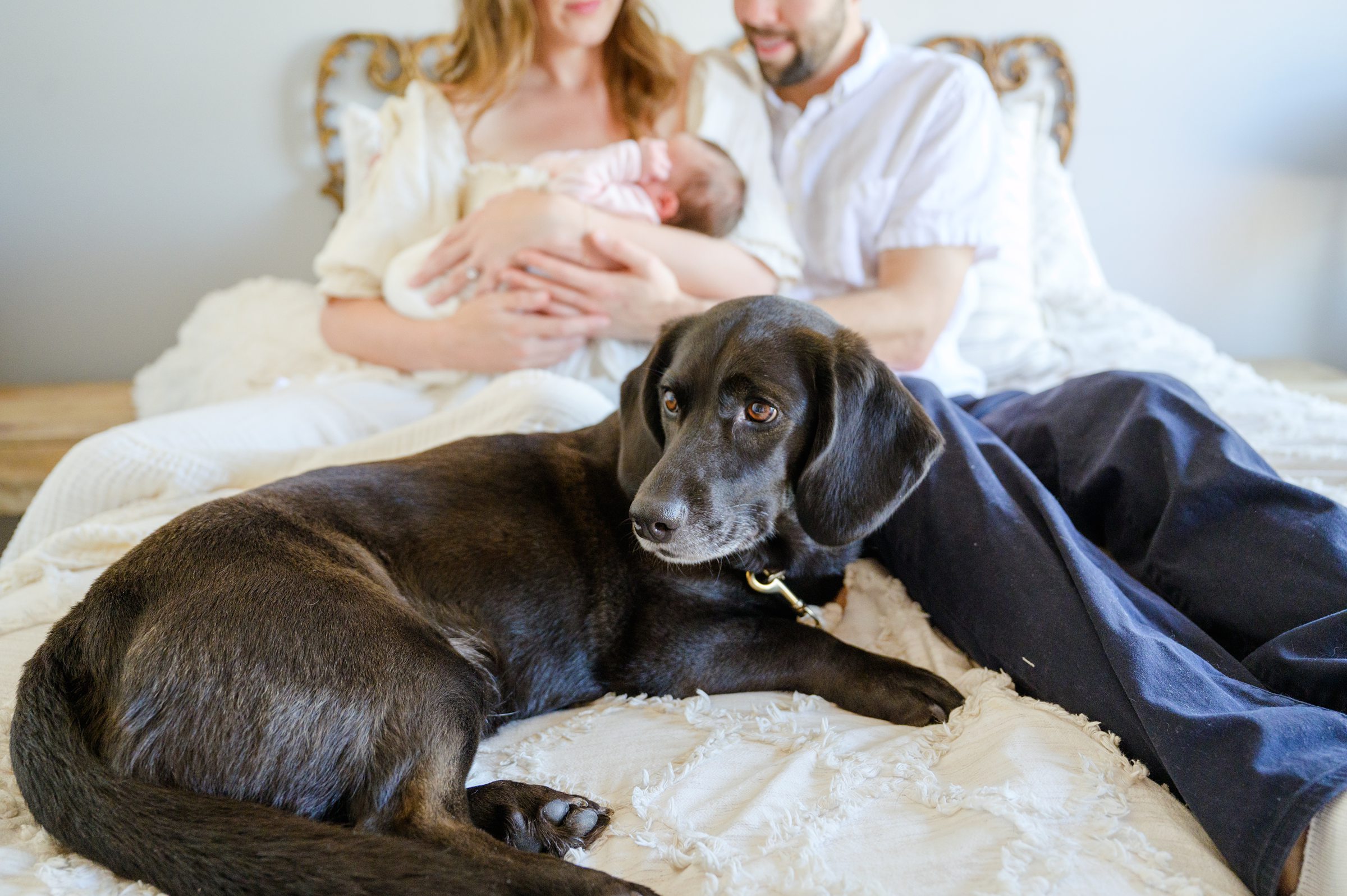 Newborn photos at an in-home lifestyle newborn session in Baltimore, Maryland photographed by Baltimore Maternity Photographer Cait Kramer.