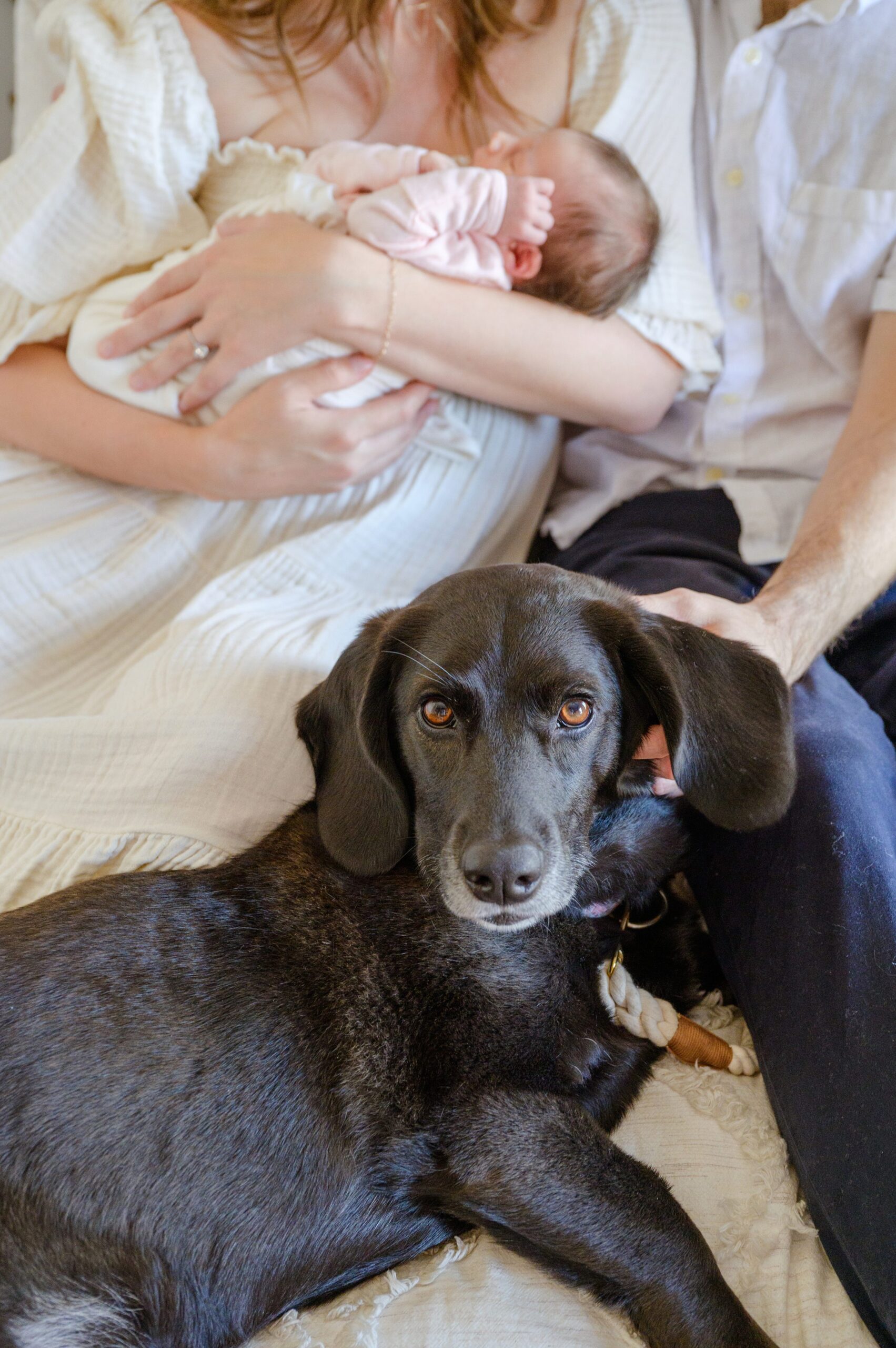 Newborn photos at an in-home lifestyle newborn session in Baltimore, Maryland photographed by Baltimore Maternity Photographer Cait Kramer.