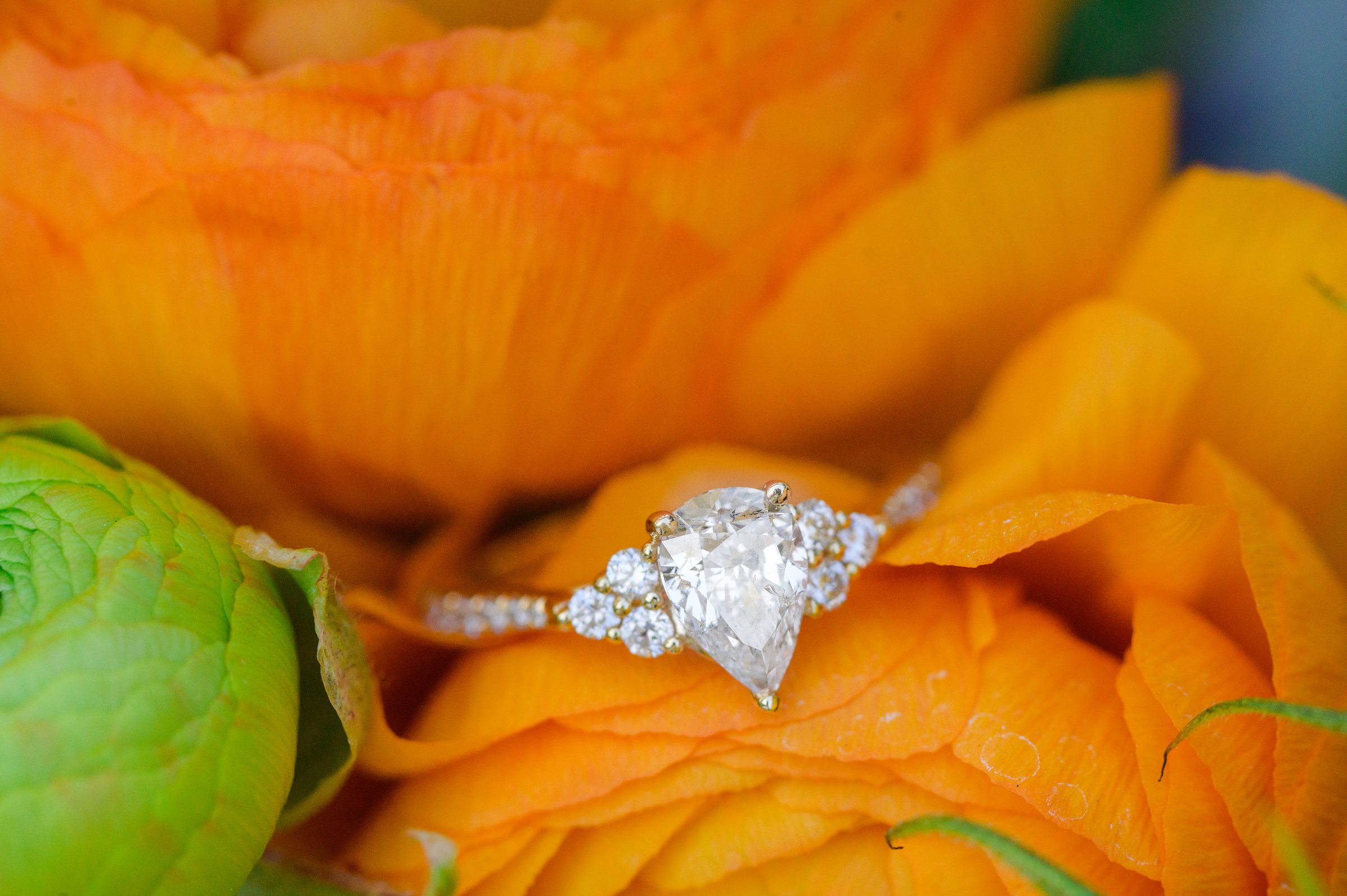 Sarah and Brenton's surprise proposal at their apartment rooftop in Baltimore, Maryland photographed by Baltimore Wedding Photographer Cait Kramer.