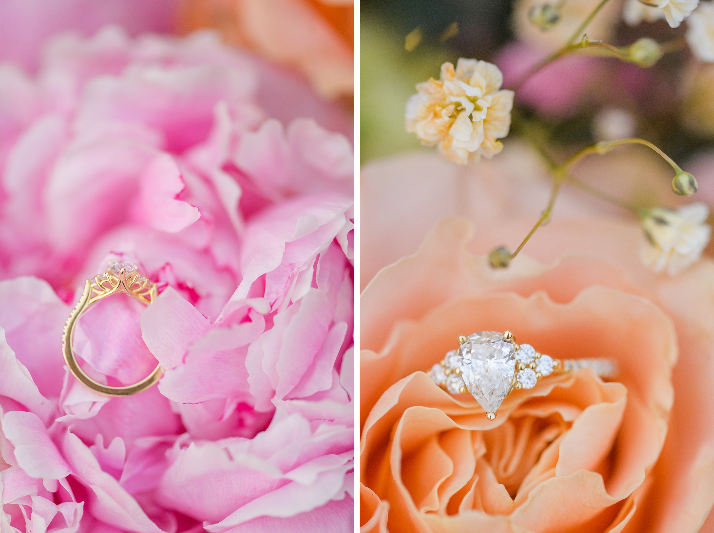 Sarah and Brenton's surprise proposal at their apartment rooftop in Baltimore, Maryland photographed by Baltimore Wedding Photographer Cait Kramer.