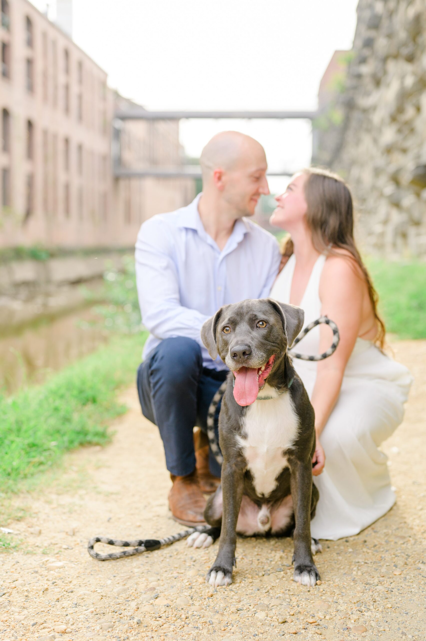 Engaged coupled at the Georgetown Canal for their summer engagement session photographed by Baltimore Wedding Photographer Cait Kramer.