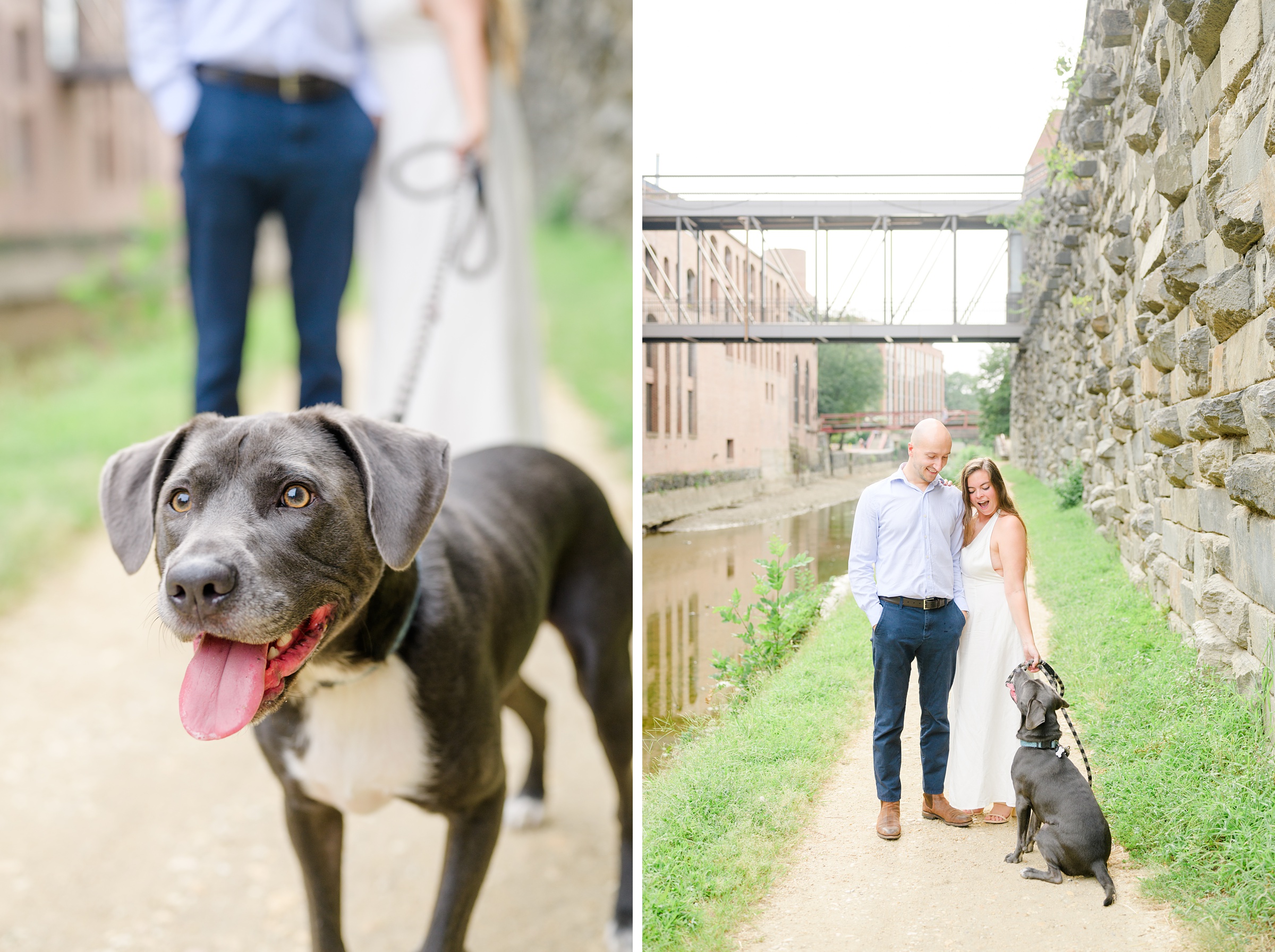 Engaged coupled at the Georgetown Canal for their summer engagement session photographed by Baltimore Wedding Photographer Cait Kramer.