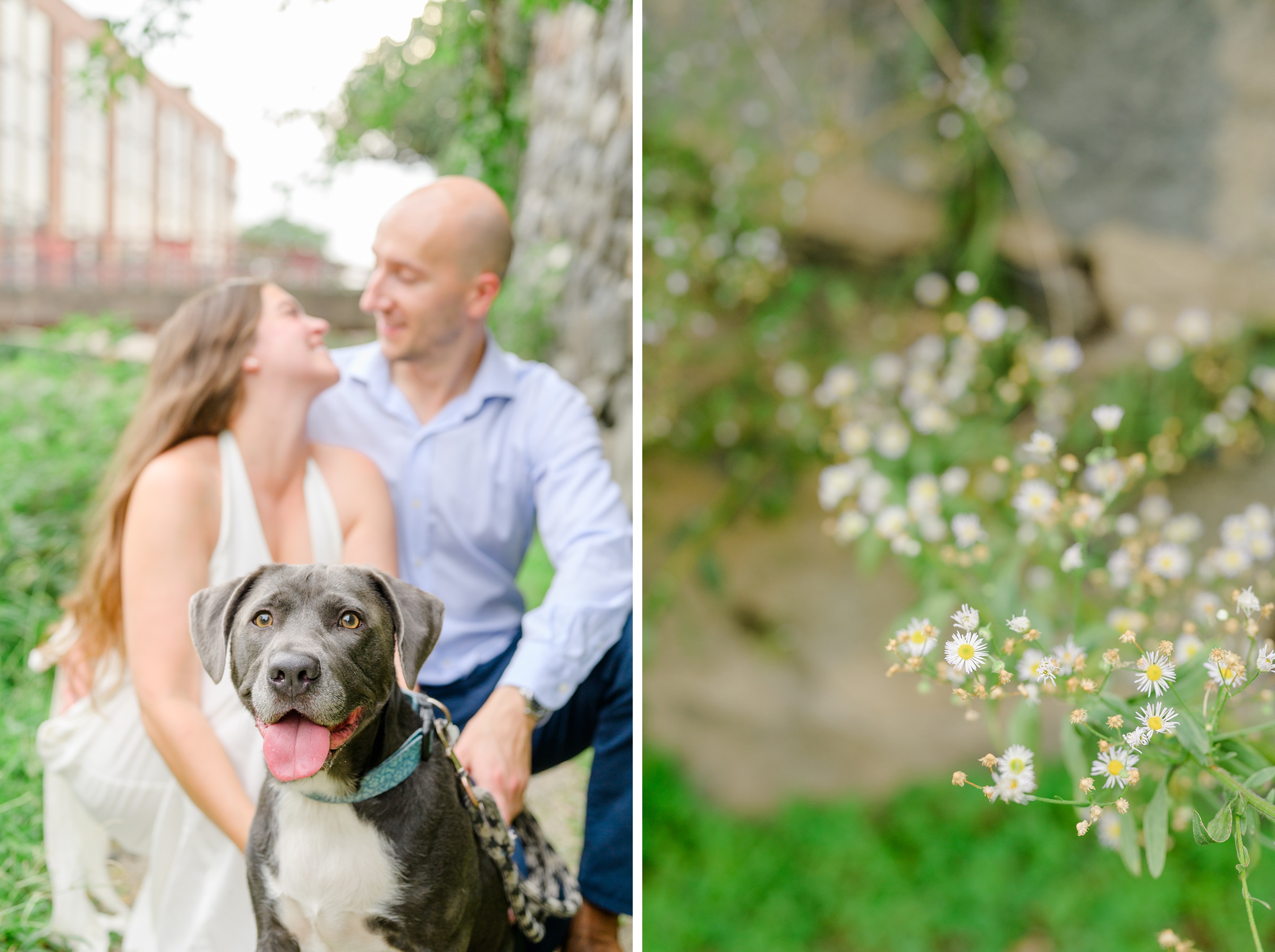 Engaged coupled at the Georgetown Canal for their summer engagement session photographed by Baltimore Wedding Photographer Cait Kramer.