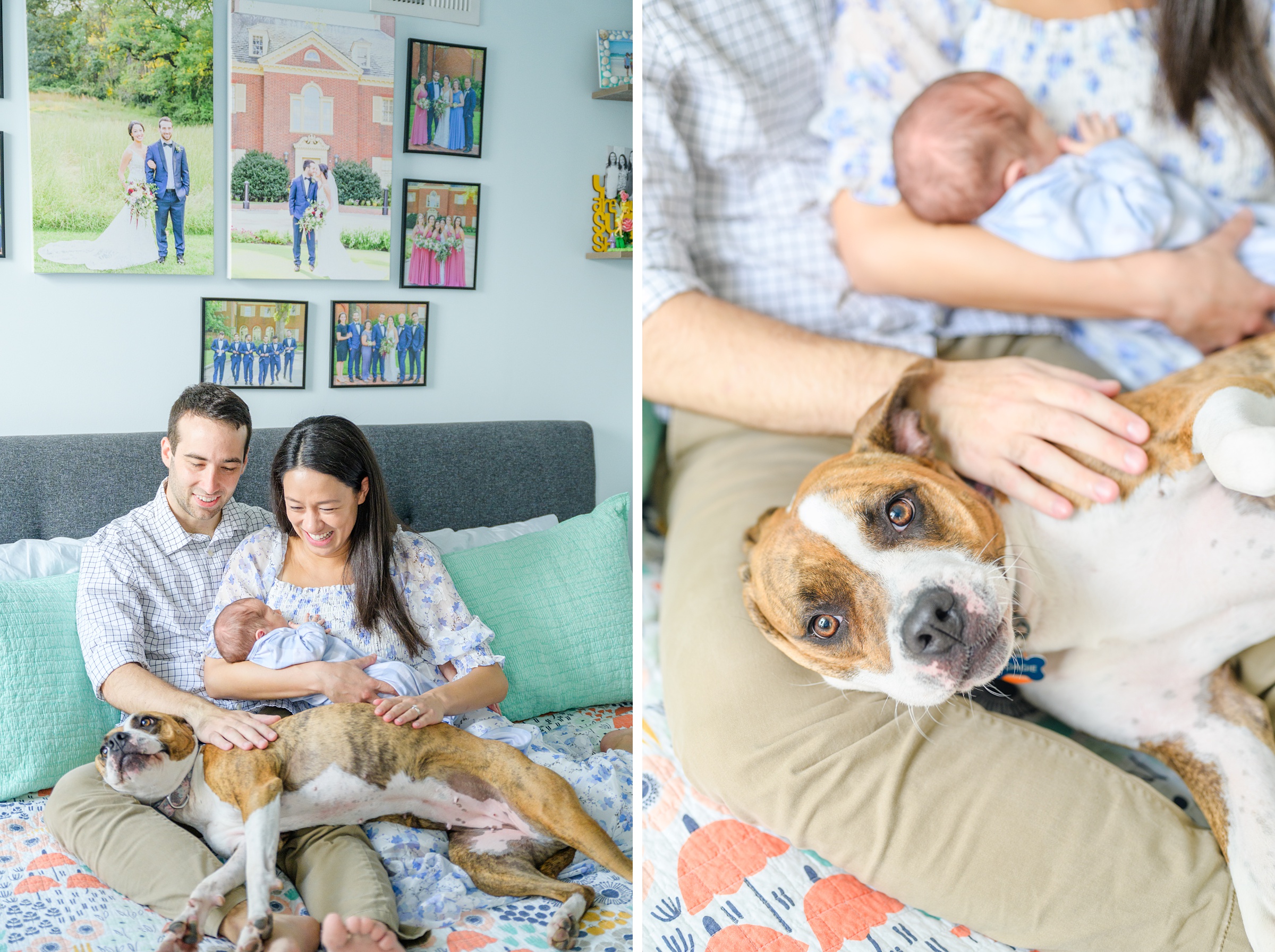 In-home Philly lifestyle newborn portrait session photographed by Cait Kramer