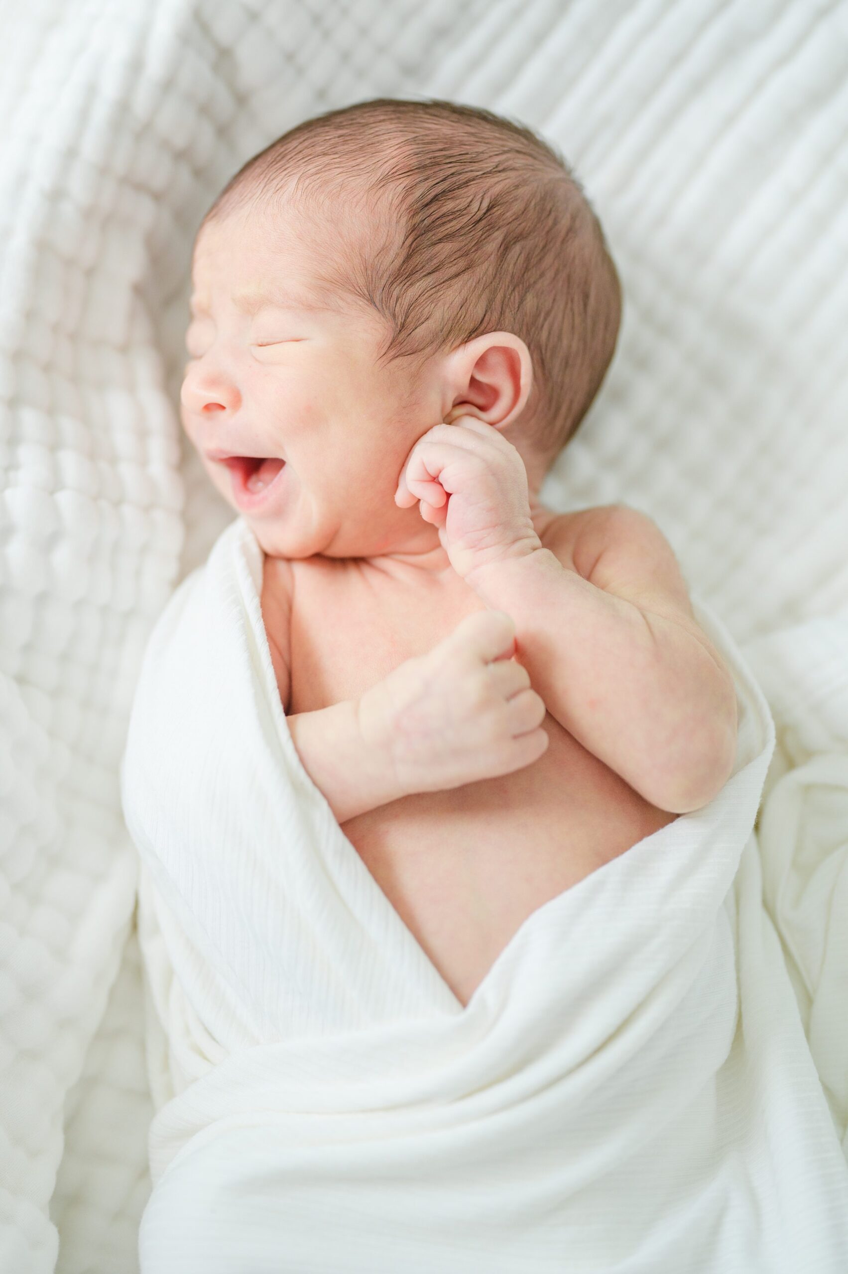 In-home Philly lifestyle newborn portrait session photographed by Cait Kramer