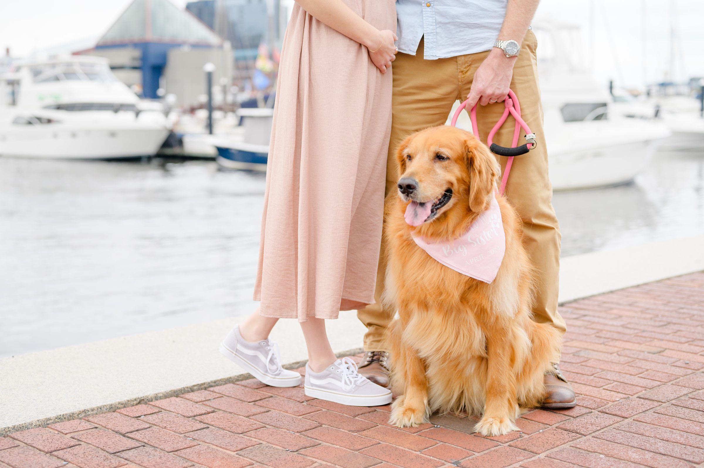 Pregnancy announcement photos at the Baltimore Inner Harbor photographed by Baltimore Maternity Photographer Cait Kramer.