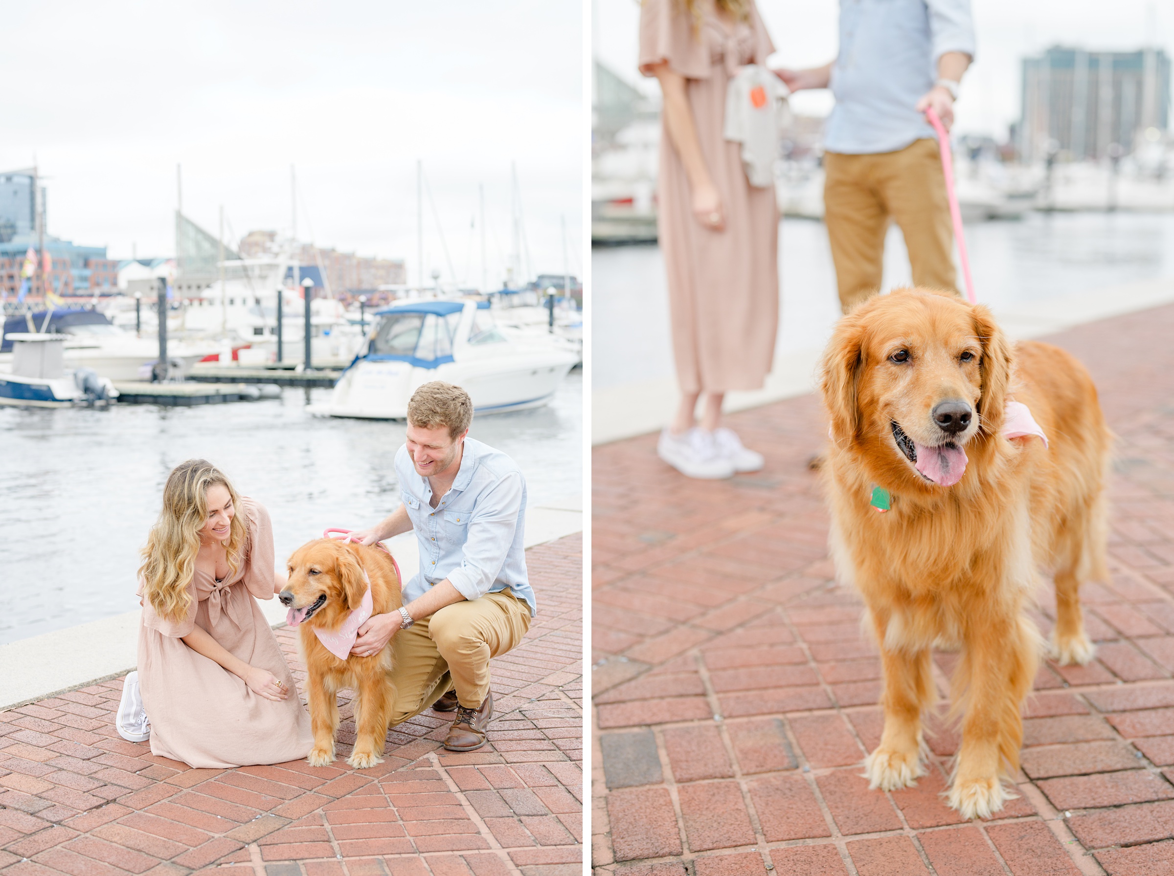 Pregnancy announcement photos at the Baltimore Inner Harbor photographed by Baltimore Maternity Photographer Cait Kramer.