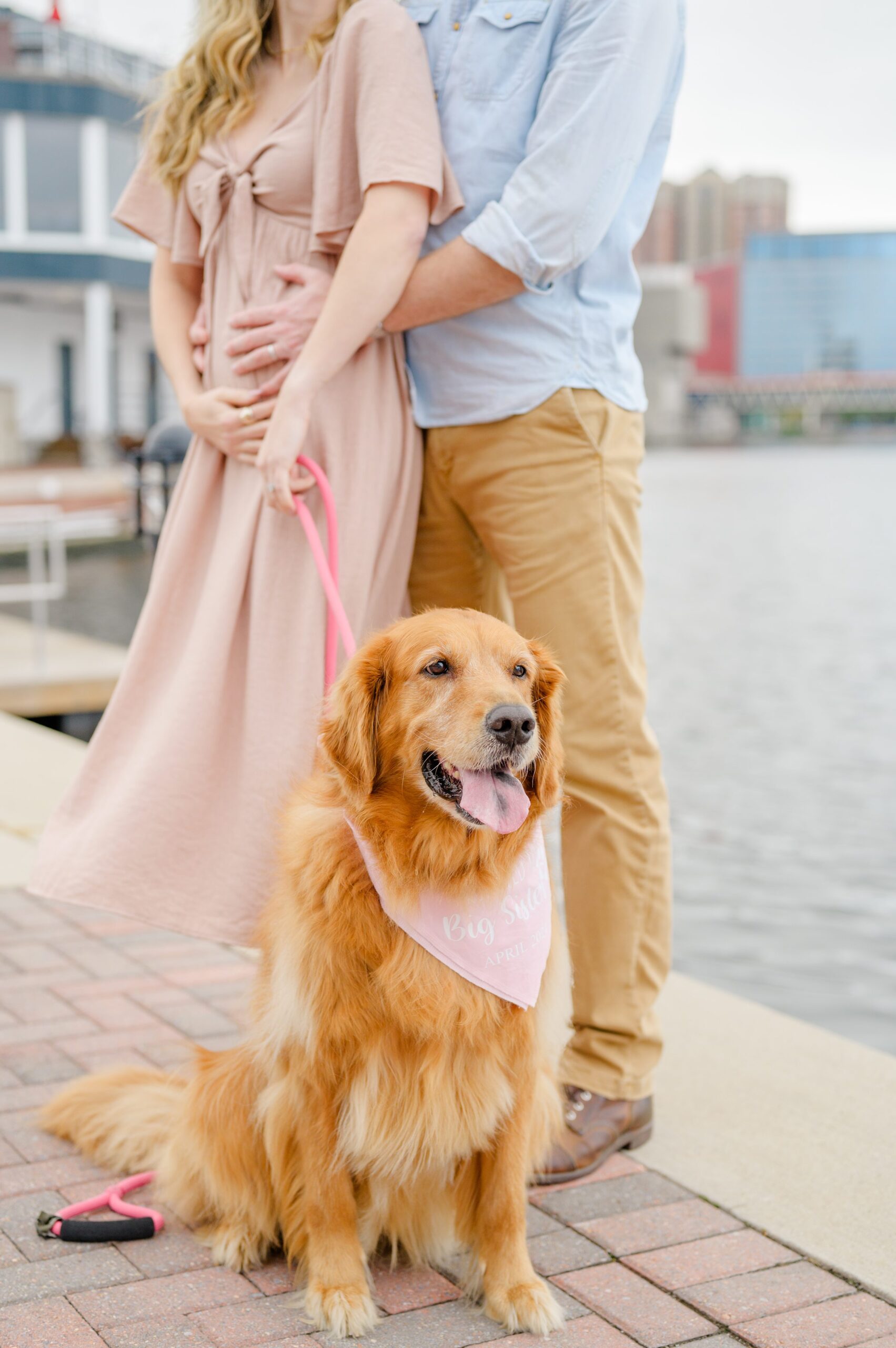 Pregnancy announcement photos at the Baltimore Inner Harbor photographed by Baltimore Maternity Photographer Cait Kramer.