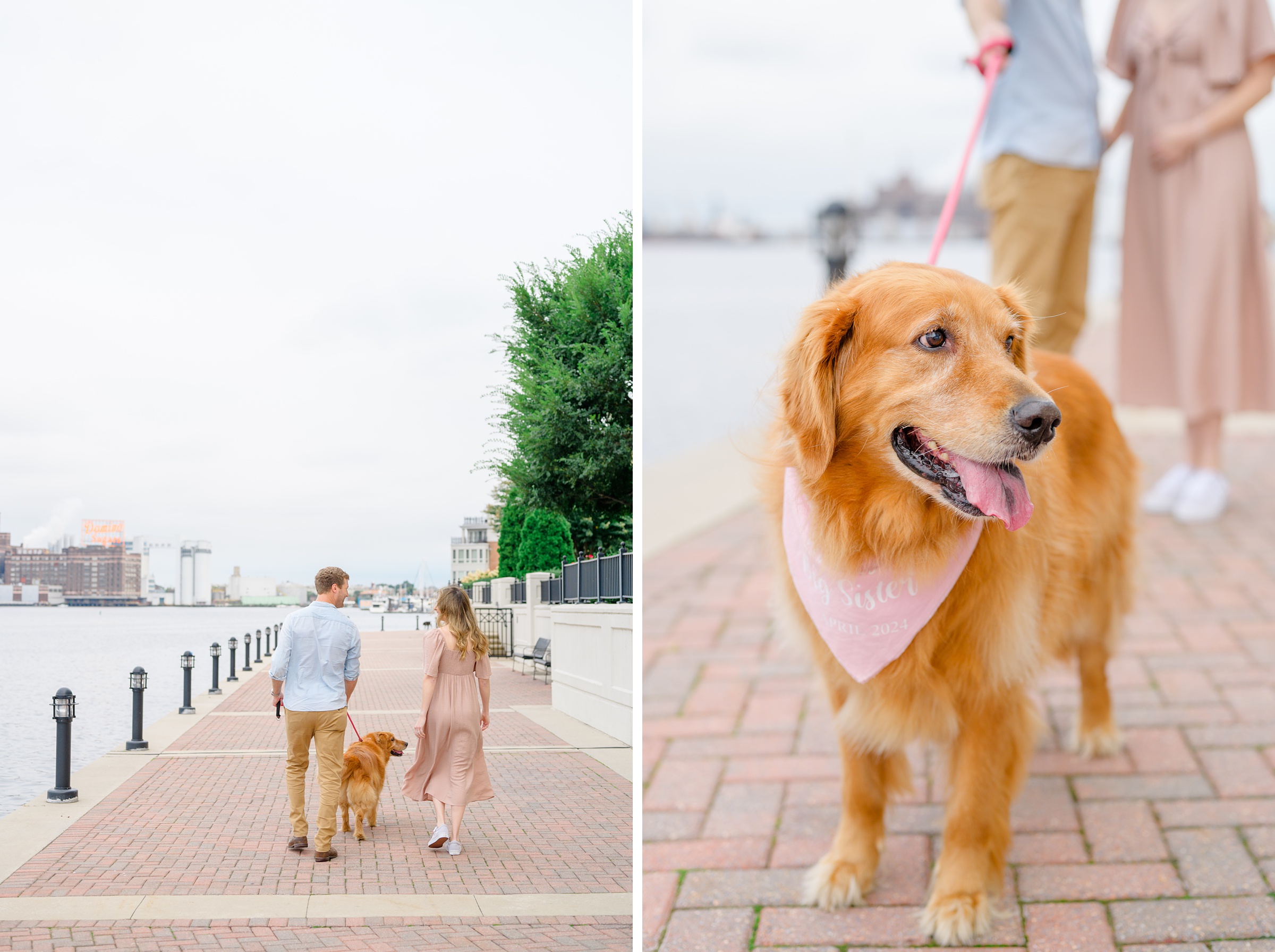 Pregnancy announcement photos at the Baltimore Inner Harbor photographed by Baltimore Maternity Photographer Cait Kramer.