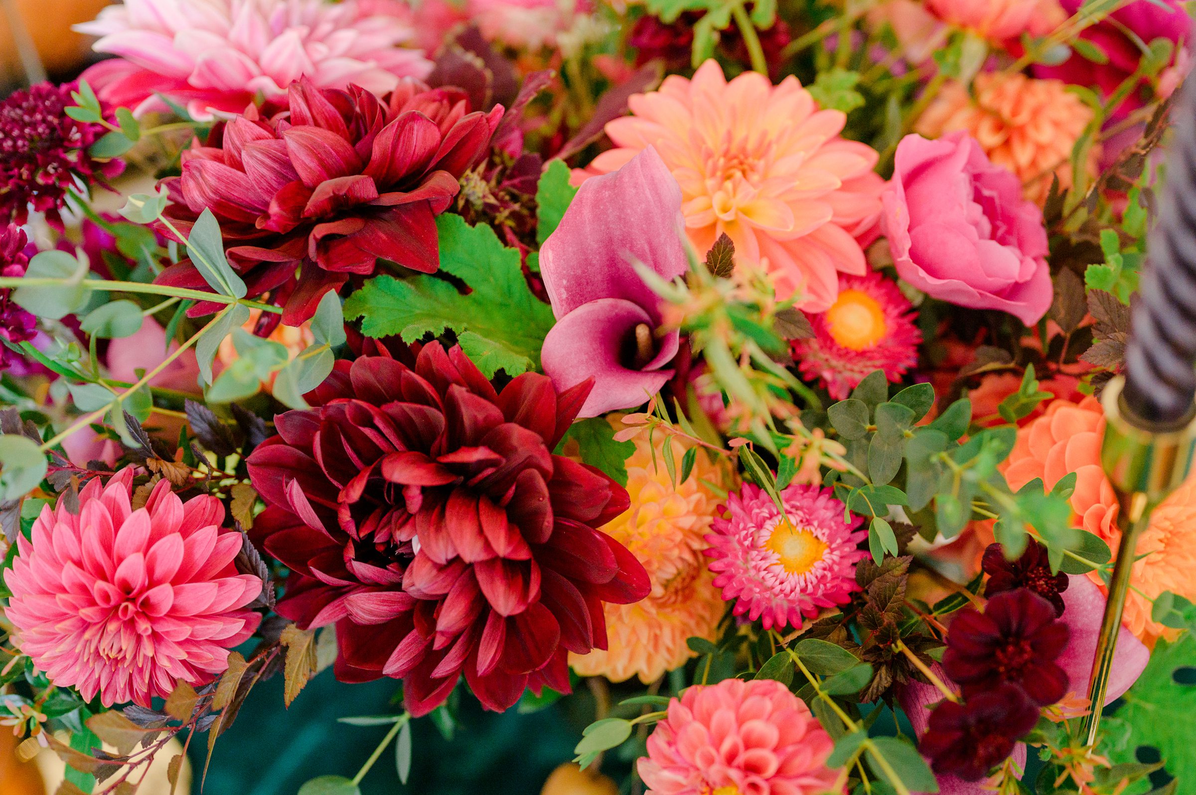 Colorful styled shoot at Rust Manor House photographed by Queer Affirming Wedding Photographer in Baltimore Cait Kramer.