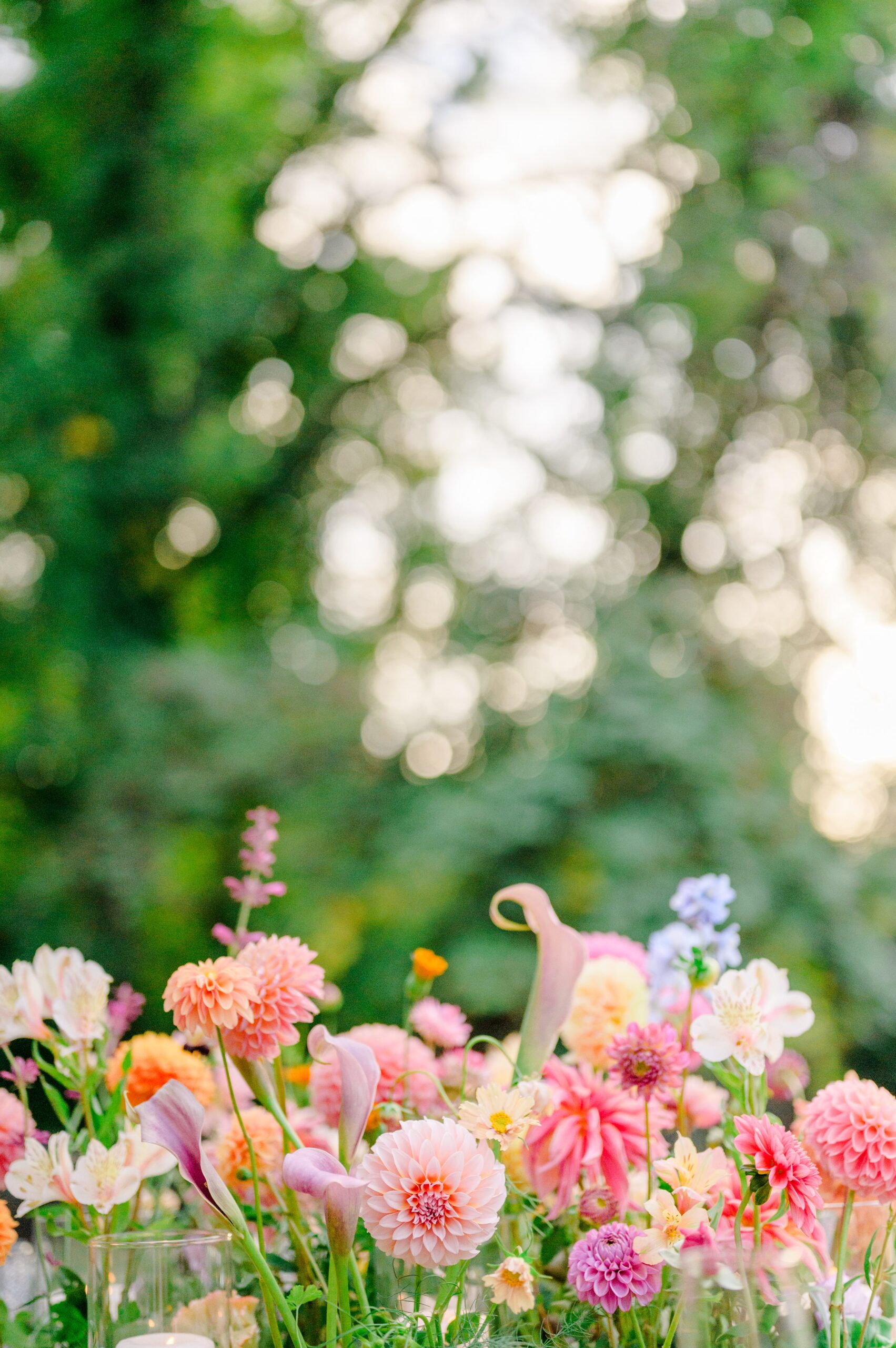 Colorful styled shoot at Rust Manor House photographed by Queer Affirming Wedding Photographer in Baltimore Cait Kramer.