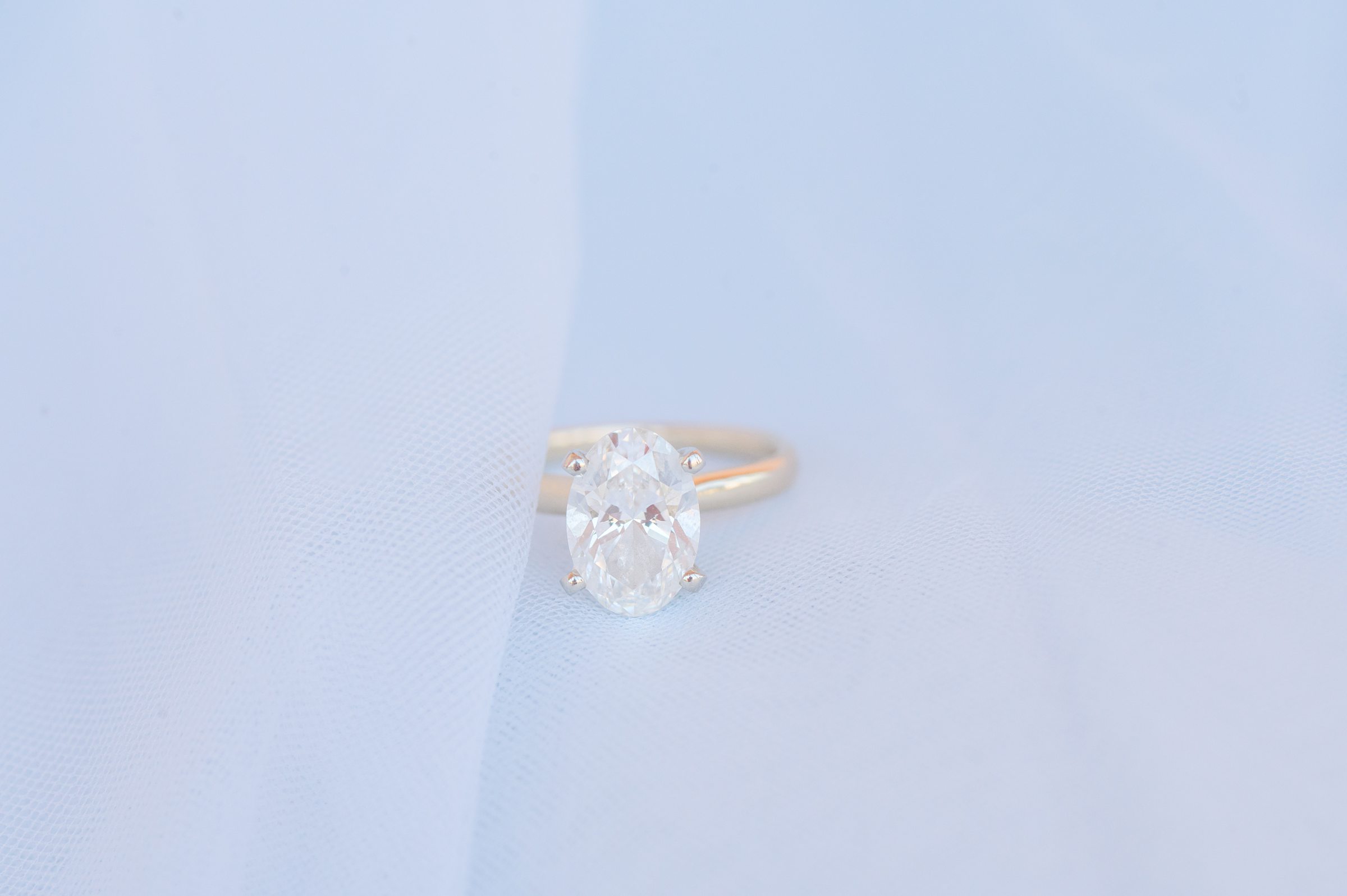 Engagement session at The Ringling Museum of Art in Sarasota, Florida photographed by Wedding Photographer Cait Kramer