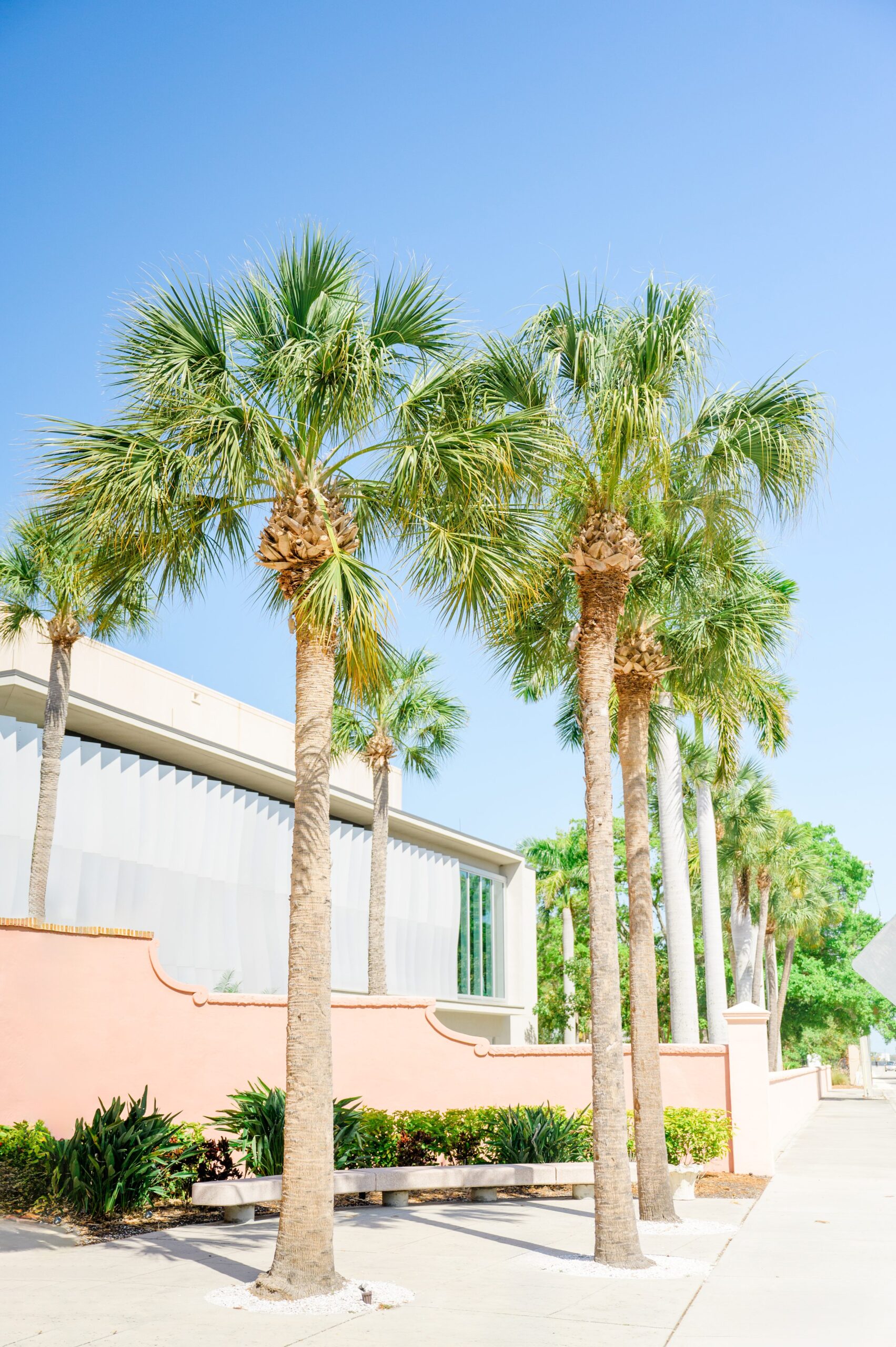 Engagement session at The Ringling Museum of Art in Sarasota, Florida photographed by Wedding Photographer Cait Kramer