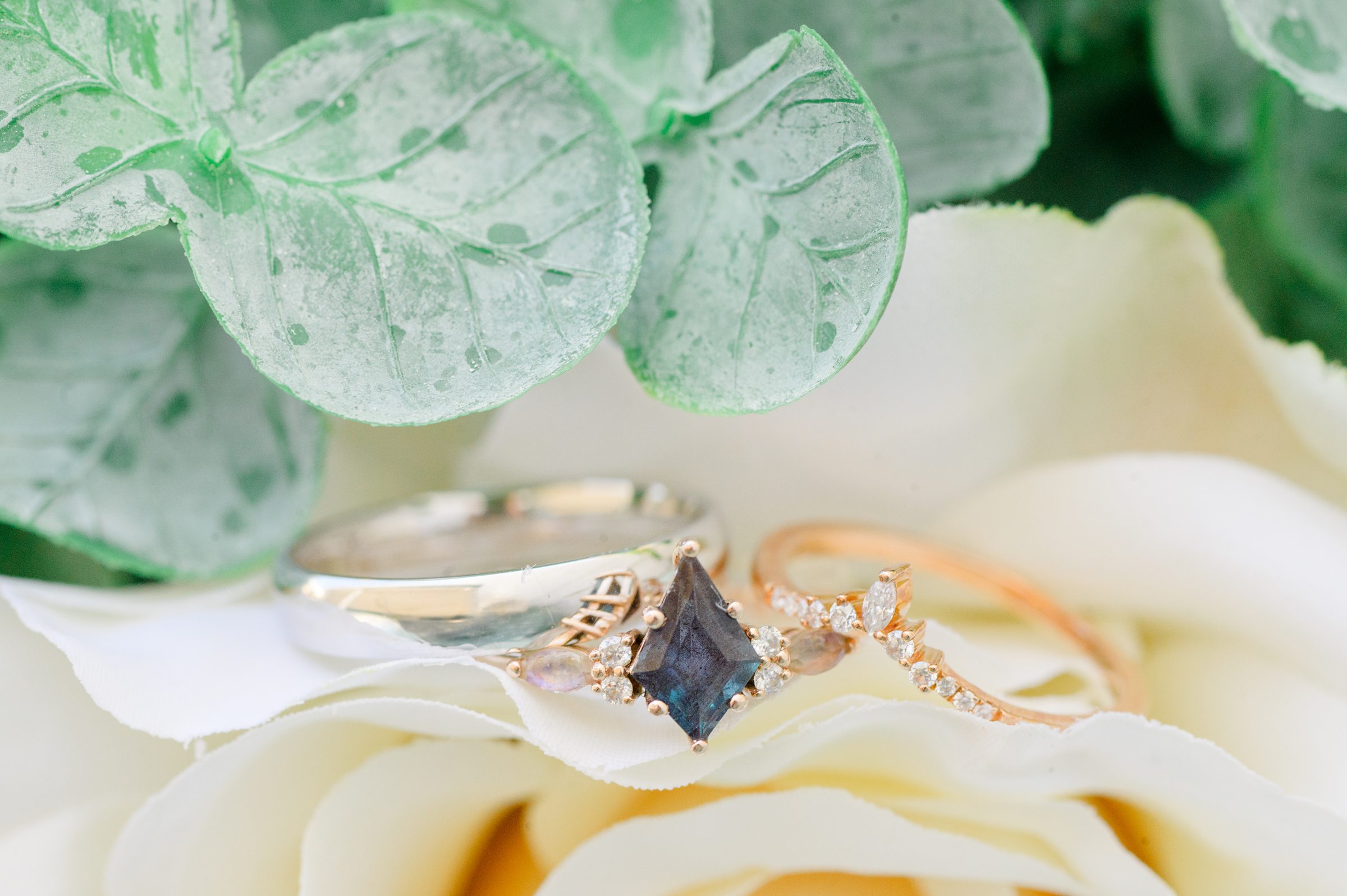 Maison & Jardin Wedding Photos in Altamonte Springs, Florida photographed by Cait Kramer Photography