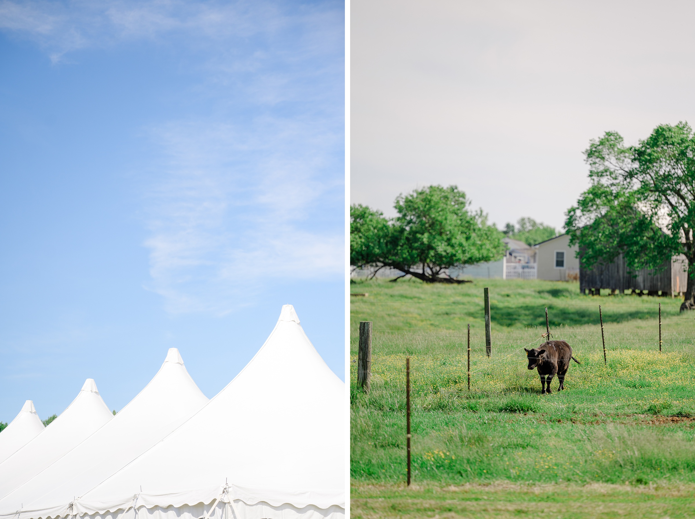 Pastel private estate wedding in Southern Maryland photographed by Baltimore Wedding Photographer Cait Kramer.
