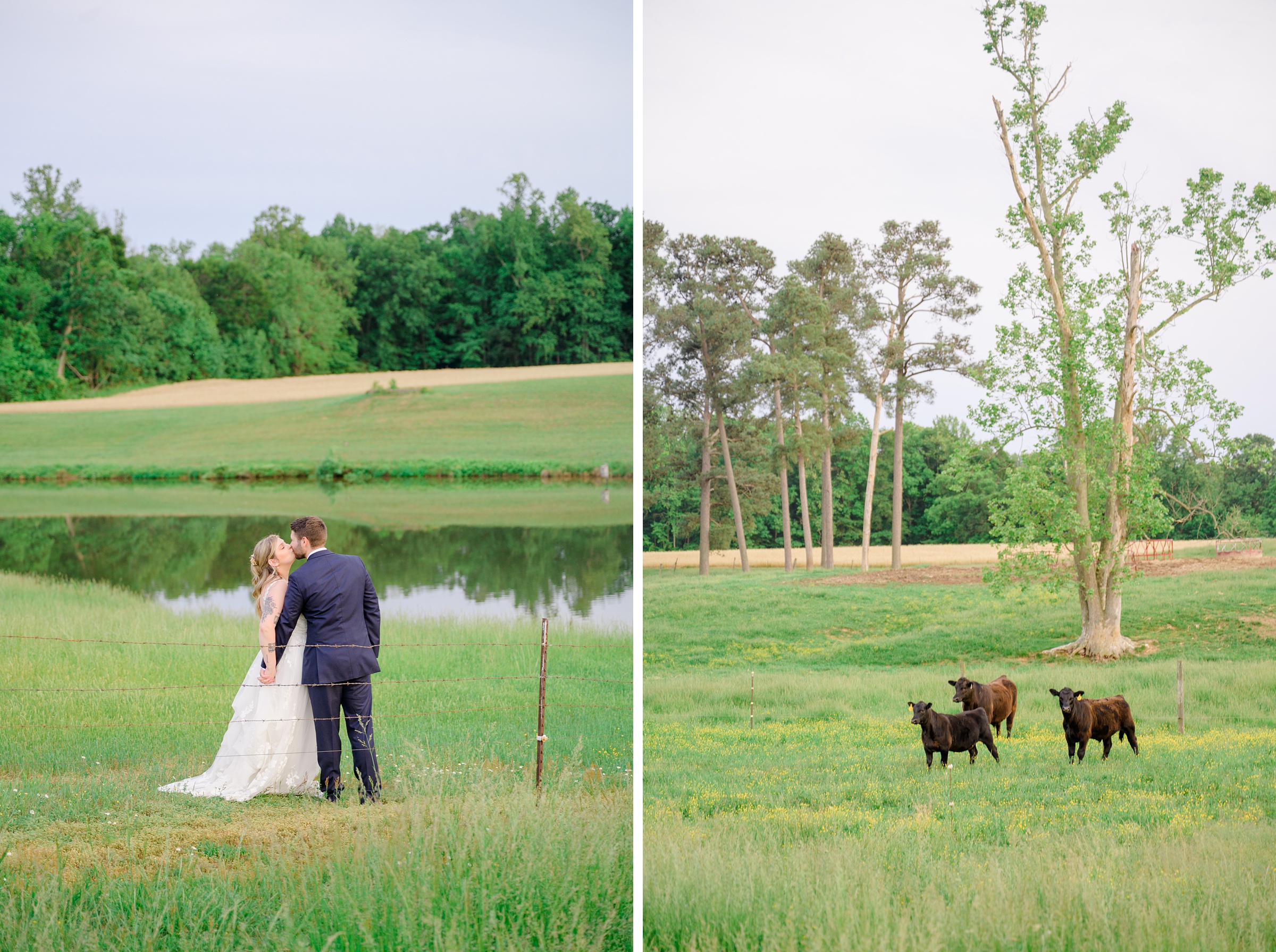 Pastel private estate wedding in Southern Maryland photographed by Baltimore Wedding Photographer Cait Kramer.