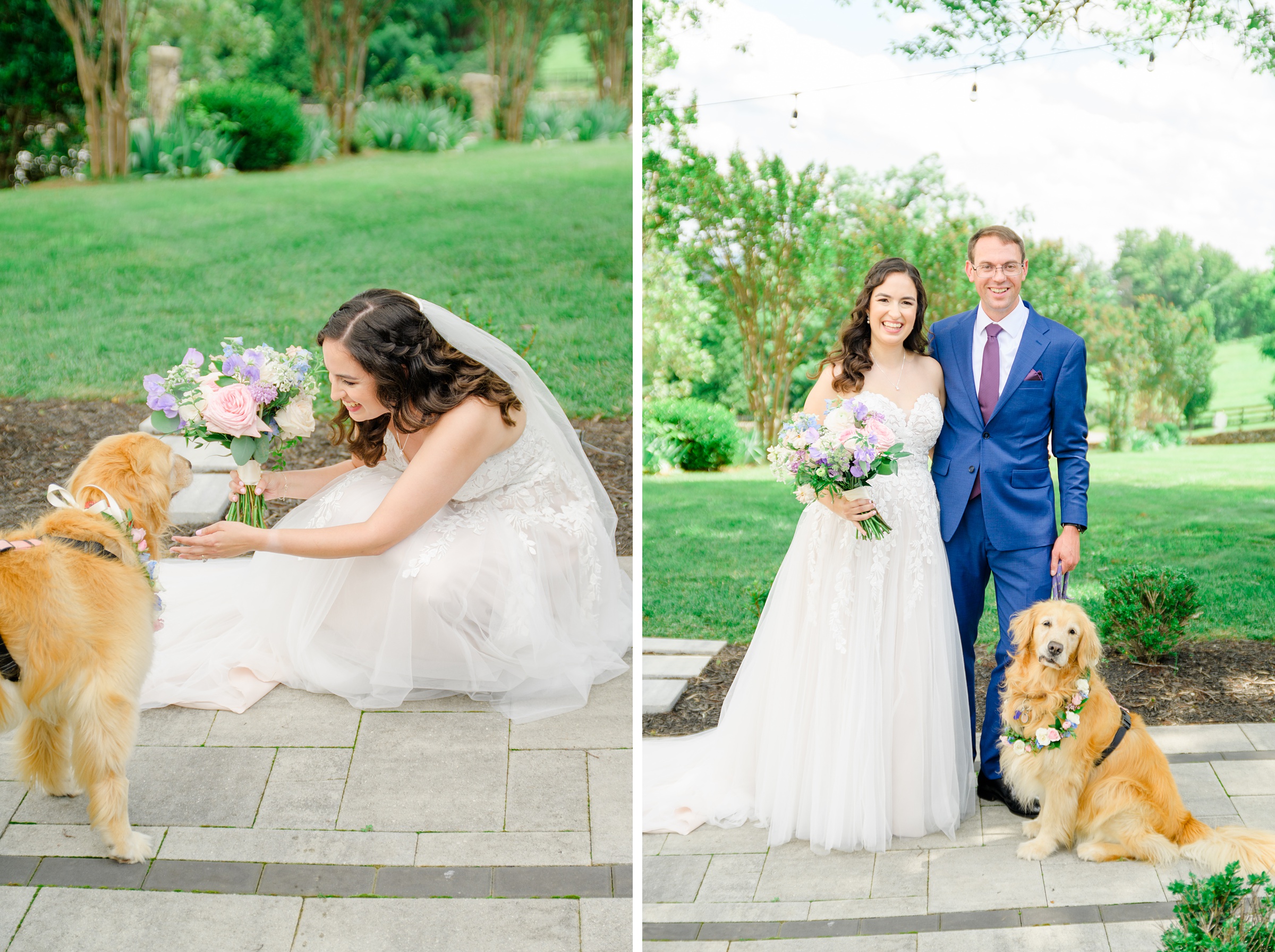 Bride and Groom Portraits at The View at Bluemont Wedding photographed by Baltimore Wedding Photographer Cait Kramer.