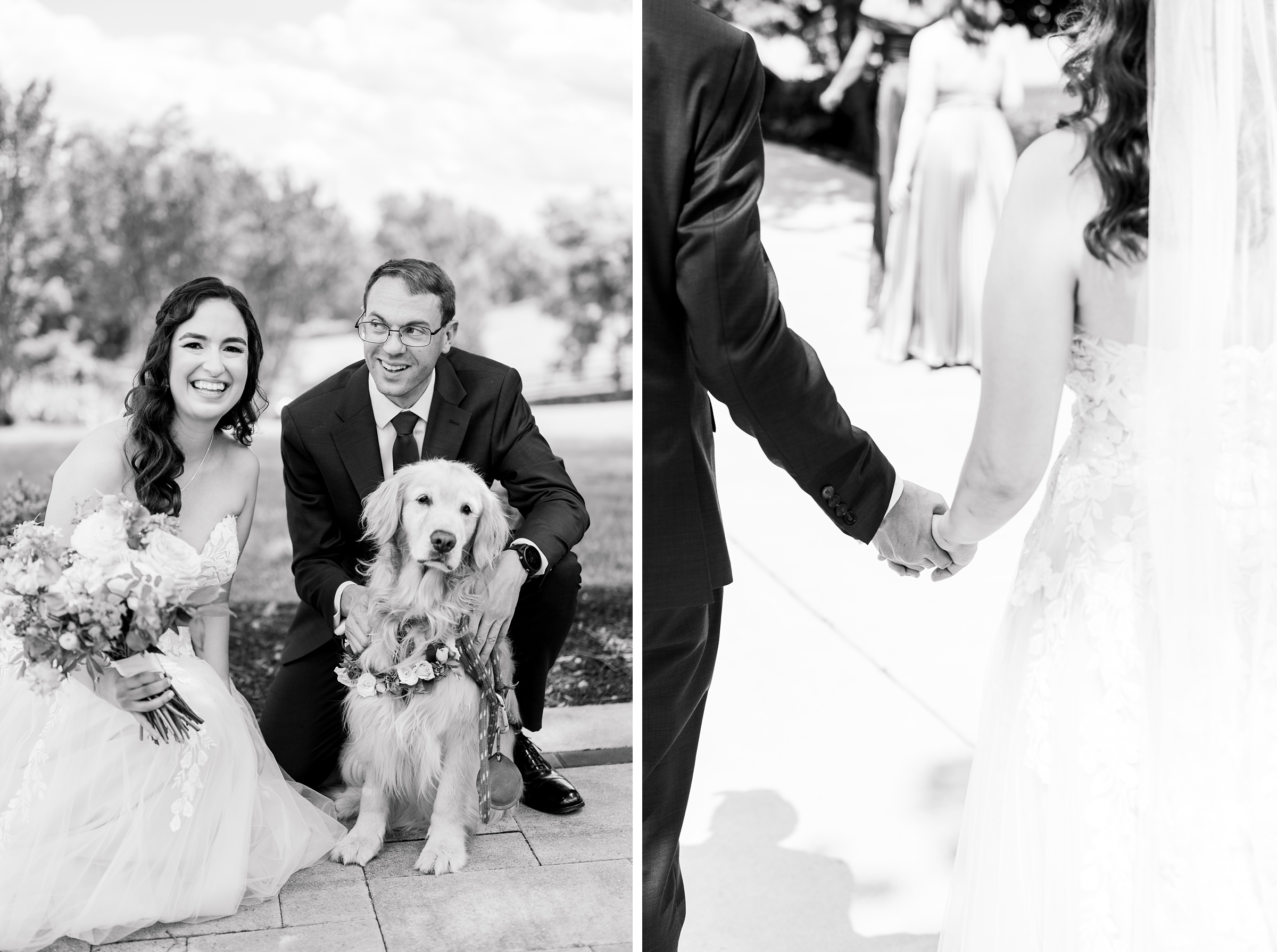 Bride and Groom Portraits at The View at Bluemont Wedding photographed by Baltimore Wedding Photographer Cait Kramer.