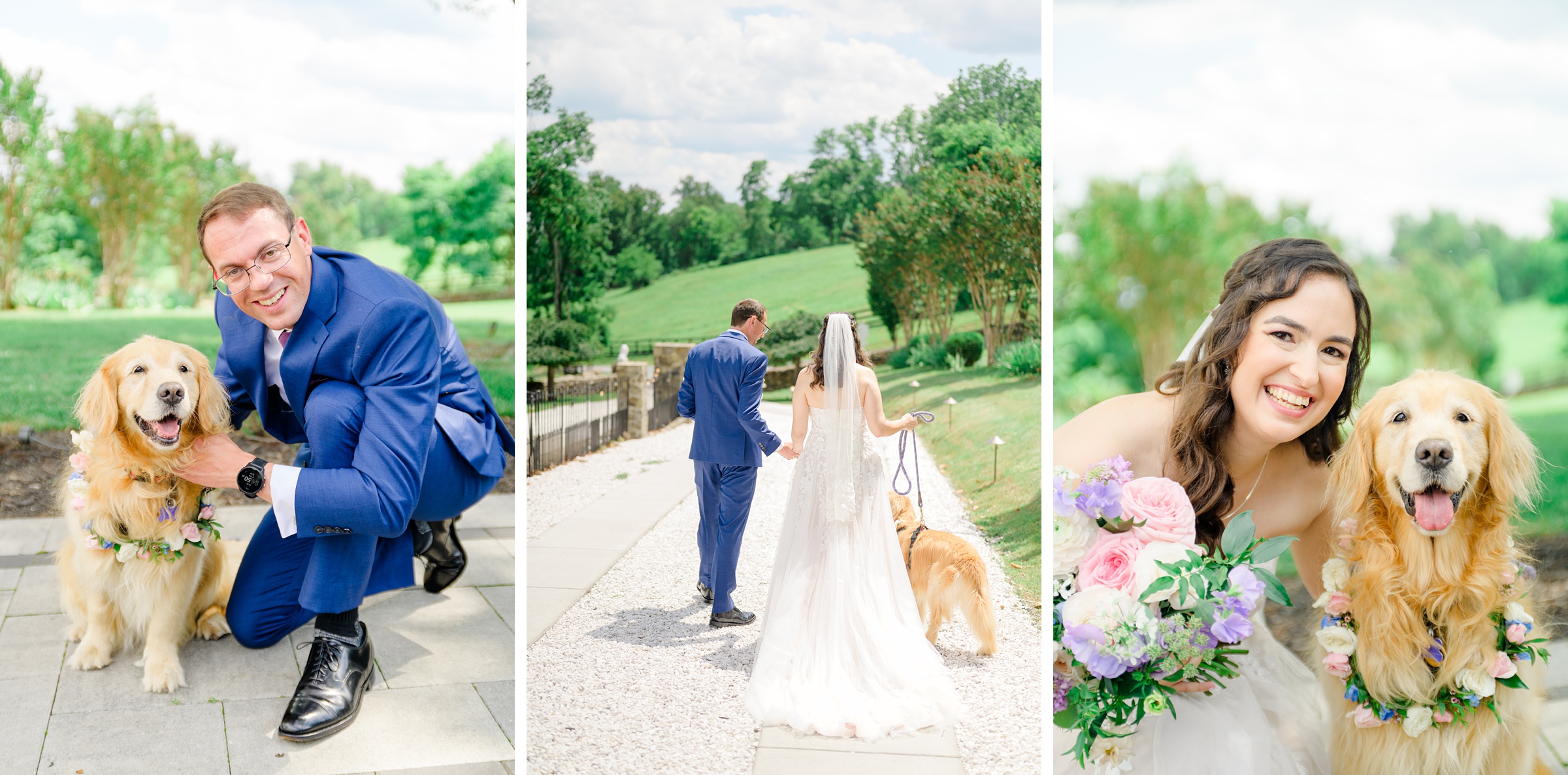 Bride and Groom Portraits at The View at Bluemont Wedding photographed by Baltimore Wedding Photographer Cait Kramer.