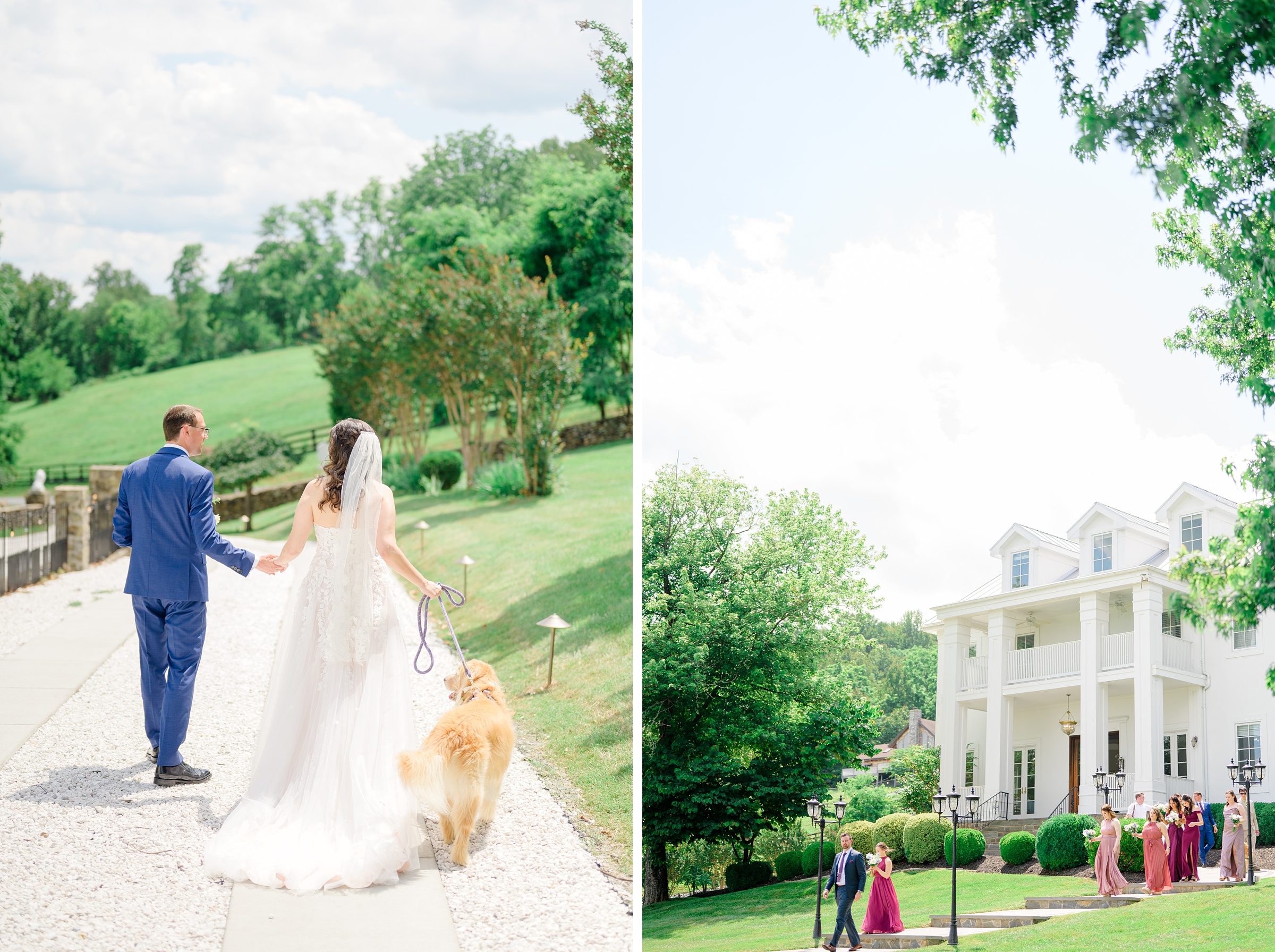 Bride and Groom Portraits at The View at Bluemont Wedding photographed by Baltimore Wedding Photographer Cait Kramer.