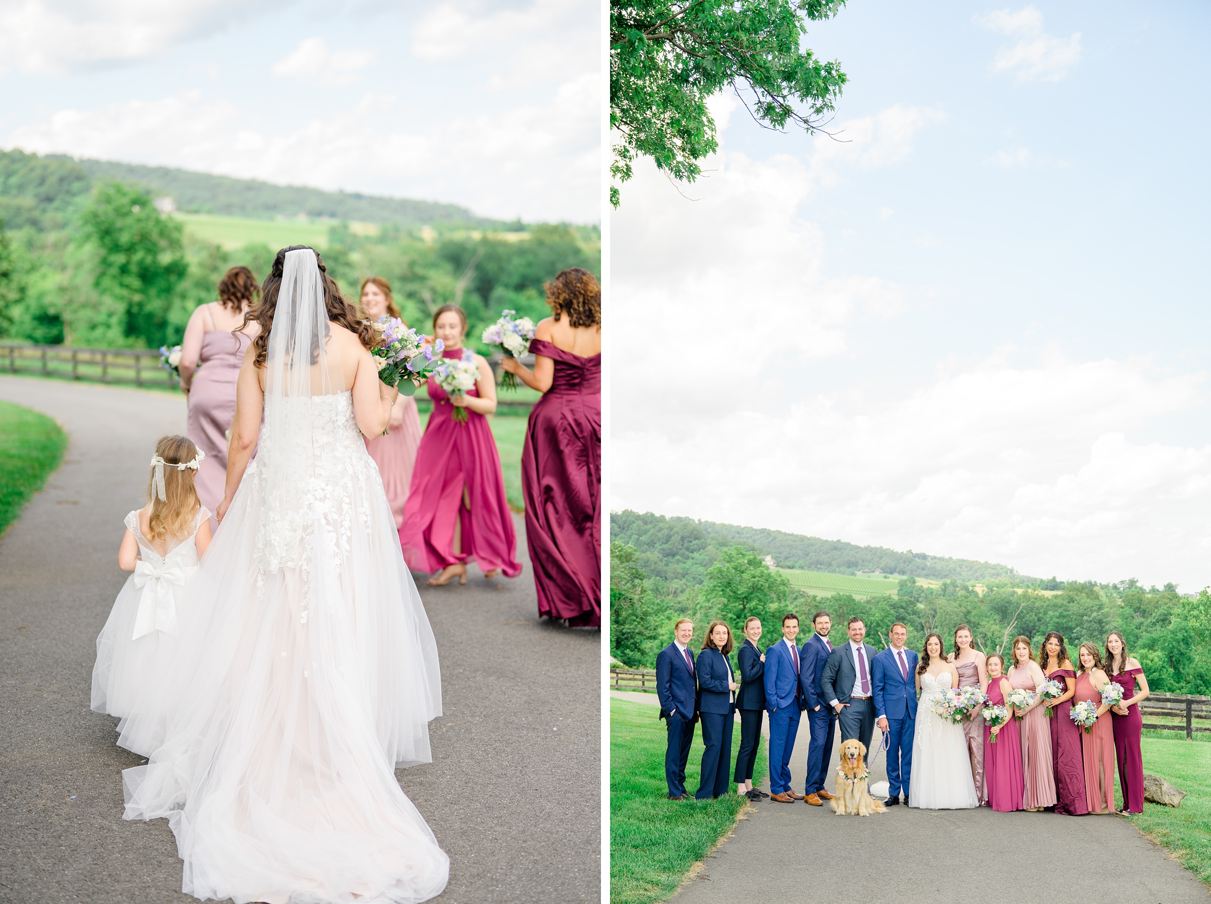 Wedding Party Portraits at The View at Bluemont Wedding photographed by Baltimore Wedding Photographer Cait Kramer.