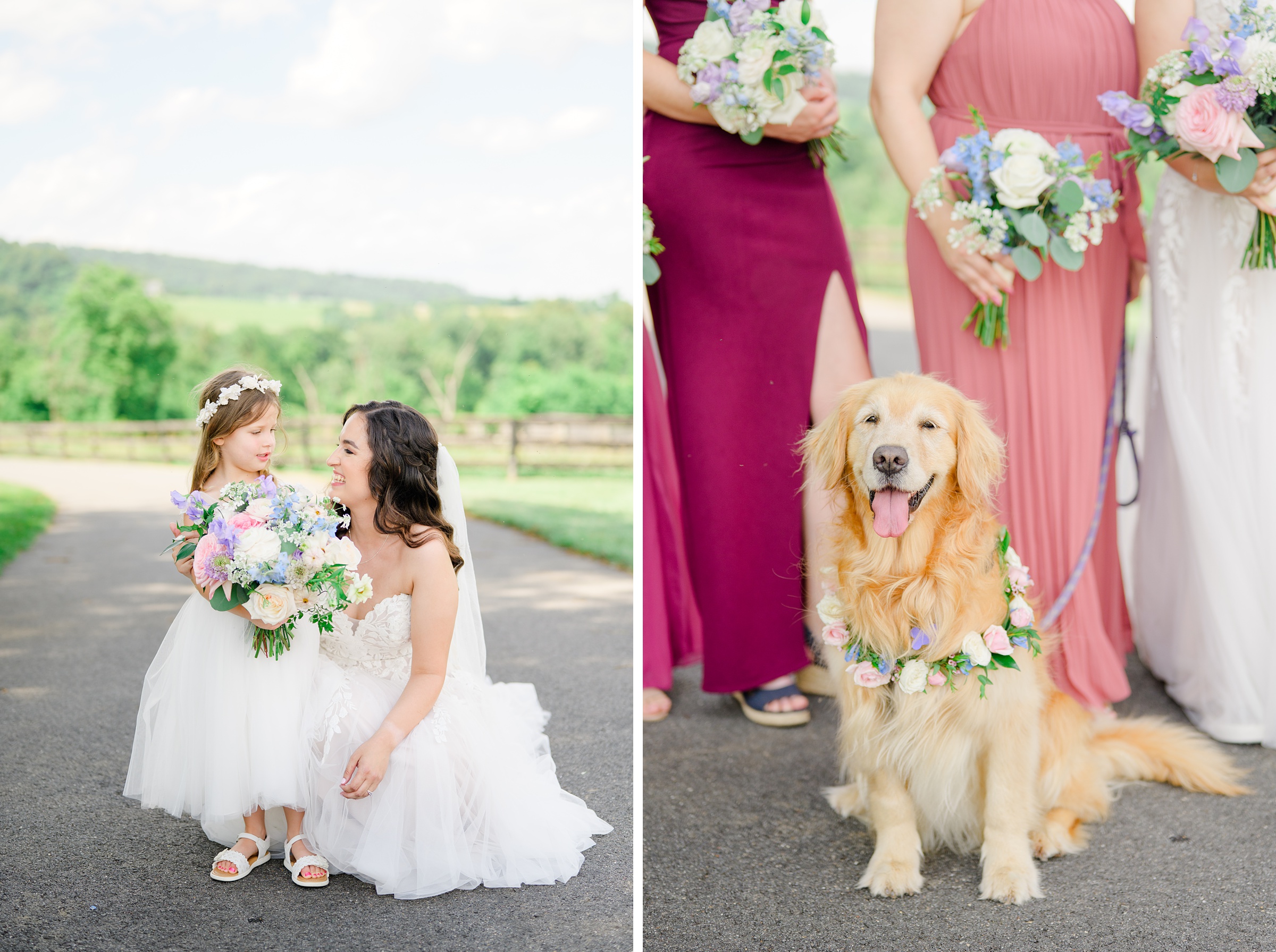 Wedding Party Portraits at The View at Bluemont Wedding photographed by Baltimore Wedding Photographer Cait Kramer.