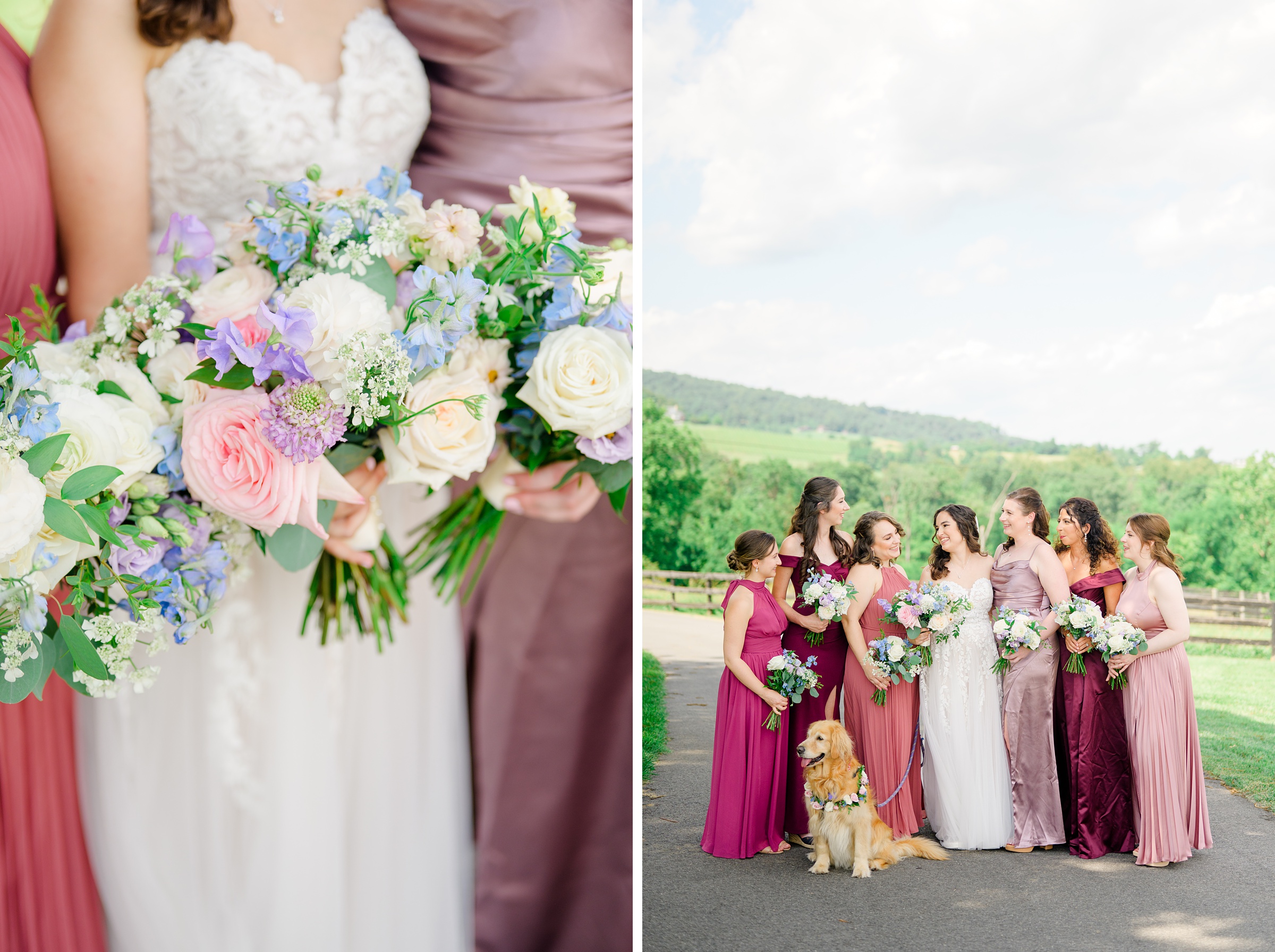 Wedding Party Portraits at The View at Bluemont Wedding photographed by Baltimore Wedding Photographer Cait Kramer.