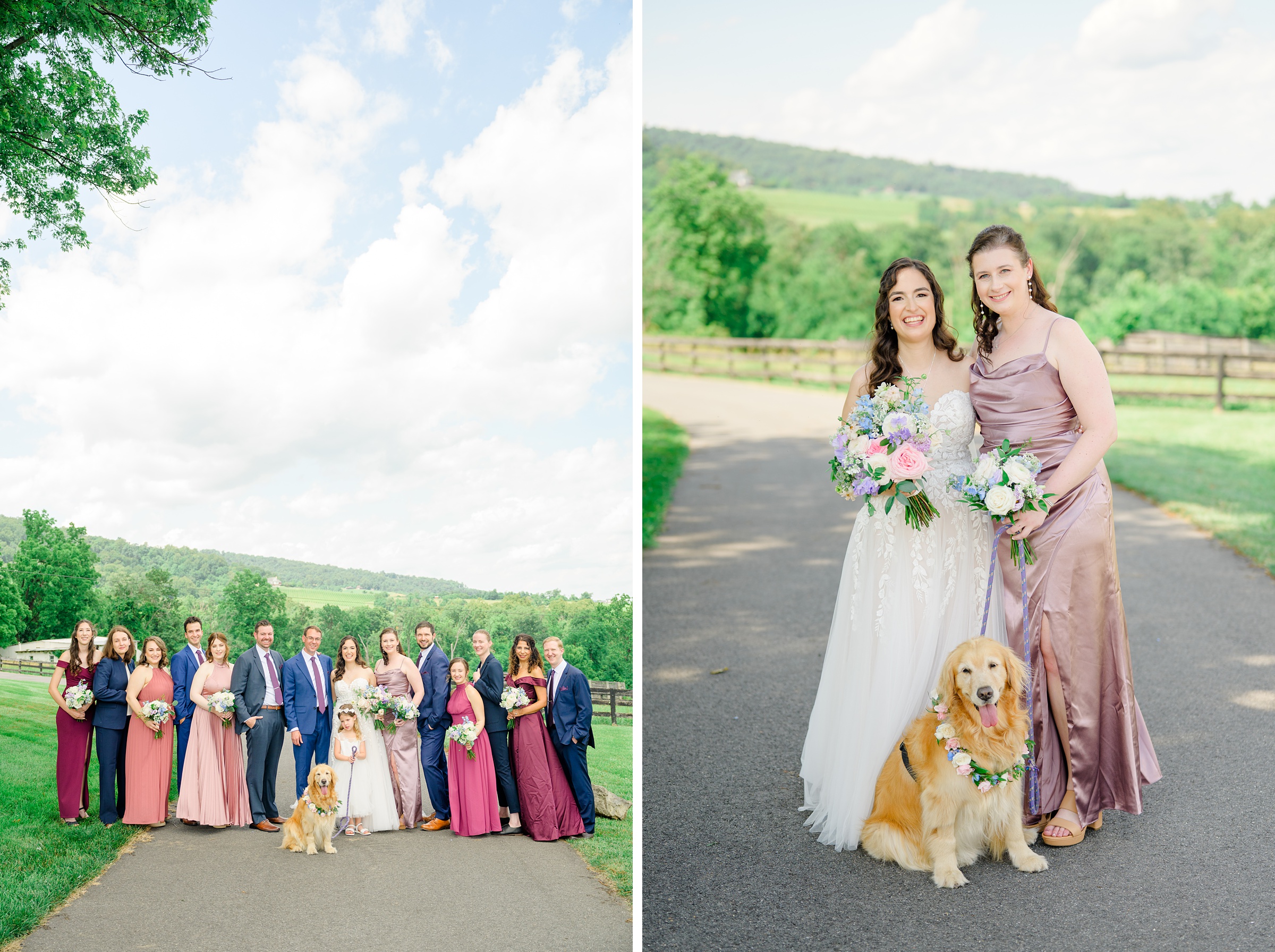 Wedding Party Portraits at The View at Bluemont Wedding photographed by Baltimore Wedding Photographer Cait Kramer.