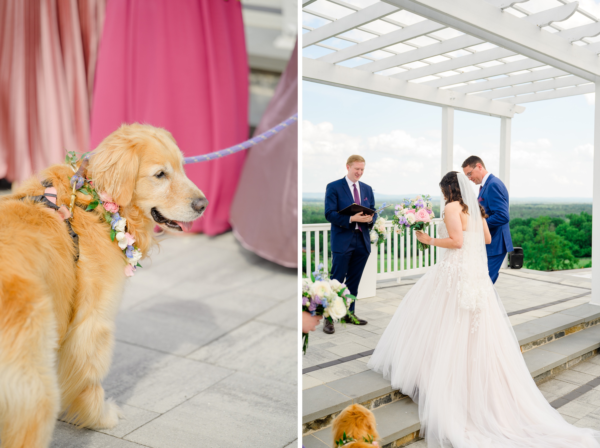 Wedding Ceremony at The View at Bluemont photographed by Baltimore Wedding Photographer Cait Kramer.